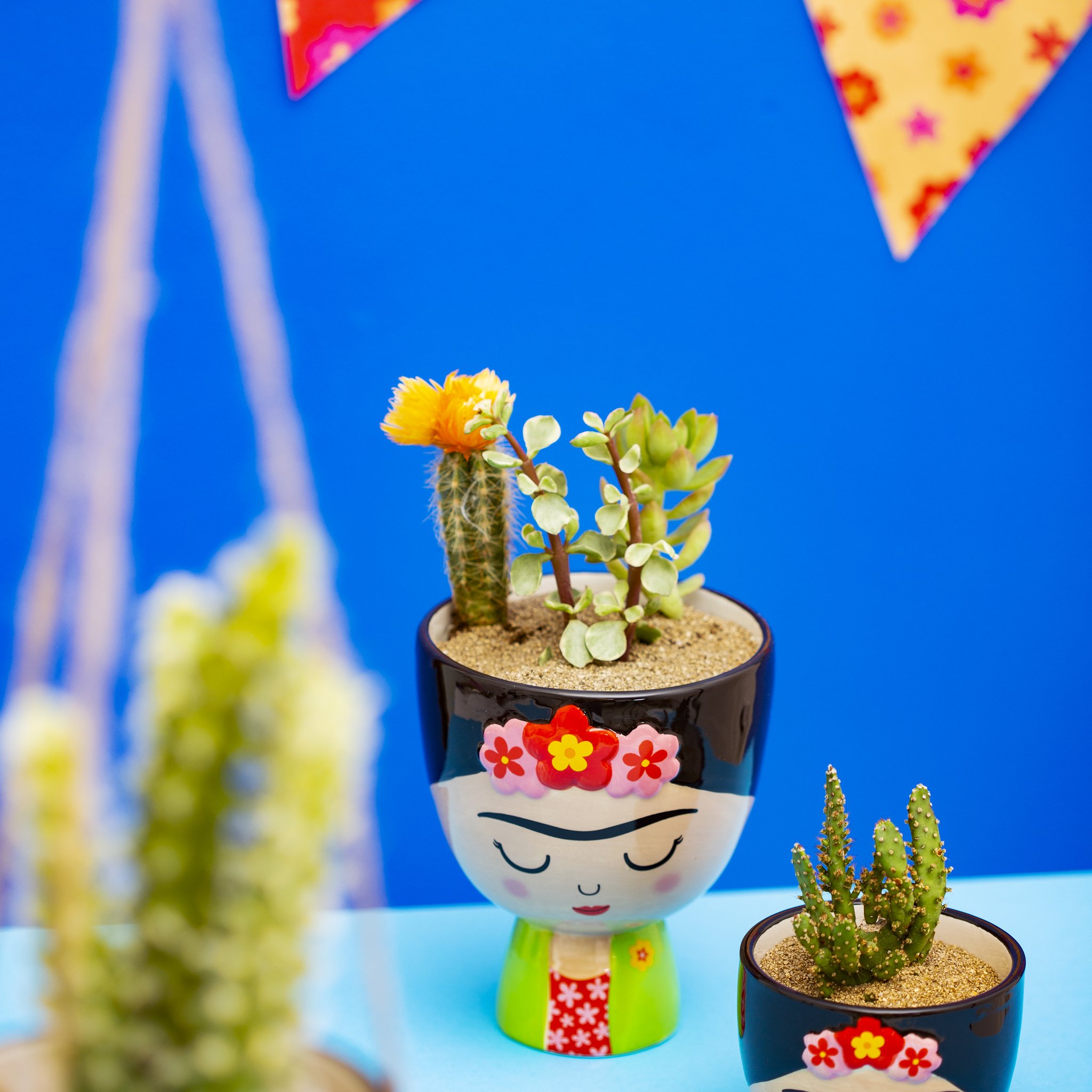 Frida Kahlo Mini-Blumentopf mit Kaktus in der Frida-Kollektion von Sass & Belle