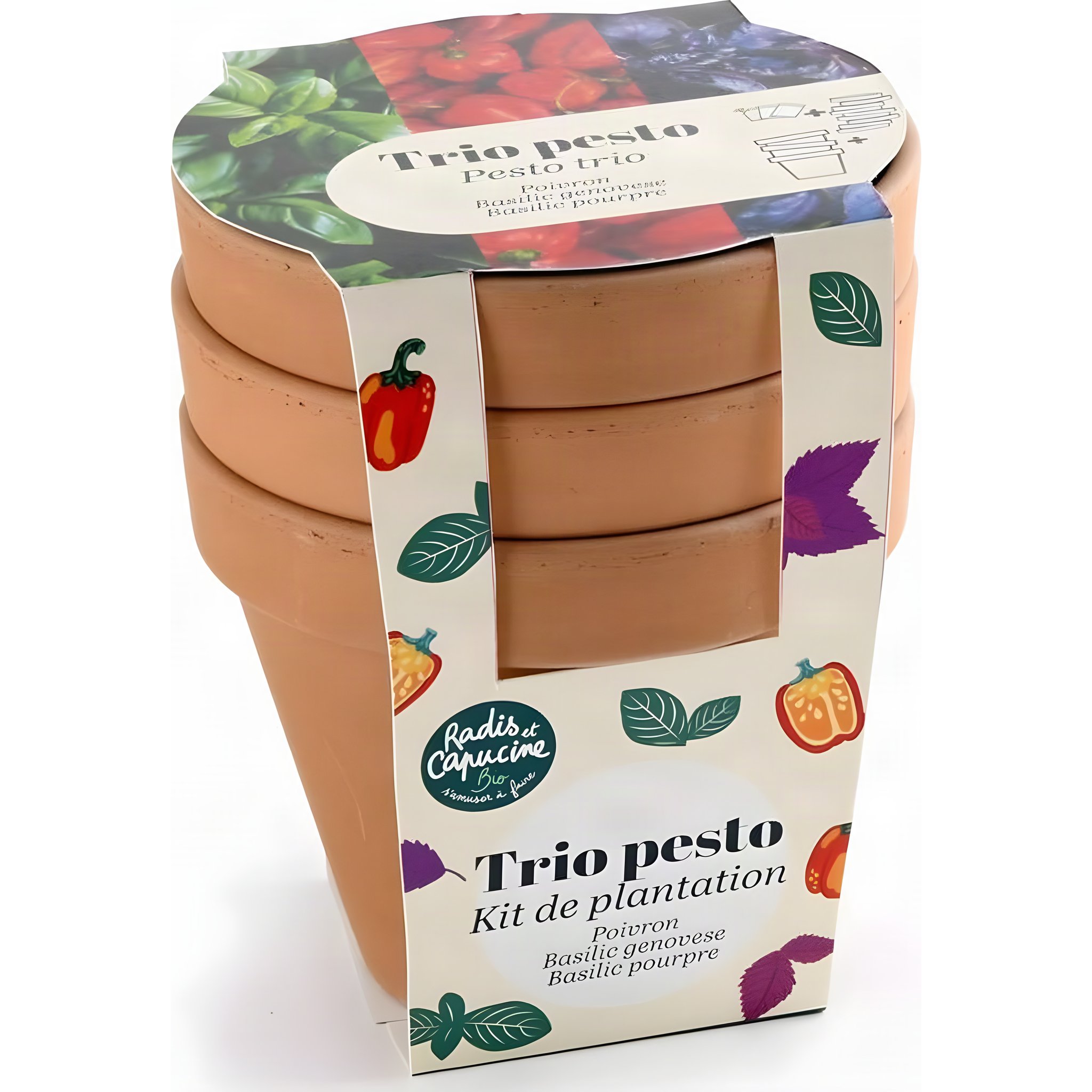 Kit di coltivazione per pesto bio