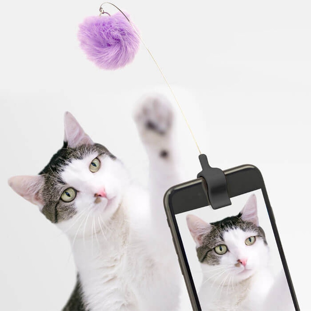 Katzen Foto Selfie Gadget von Kikkerland
