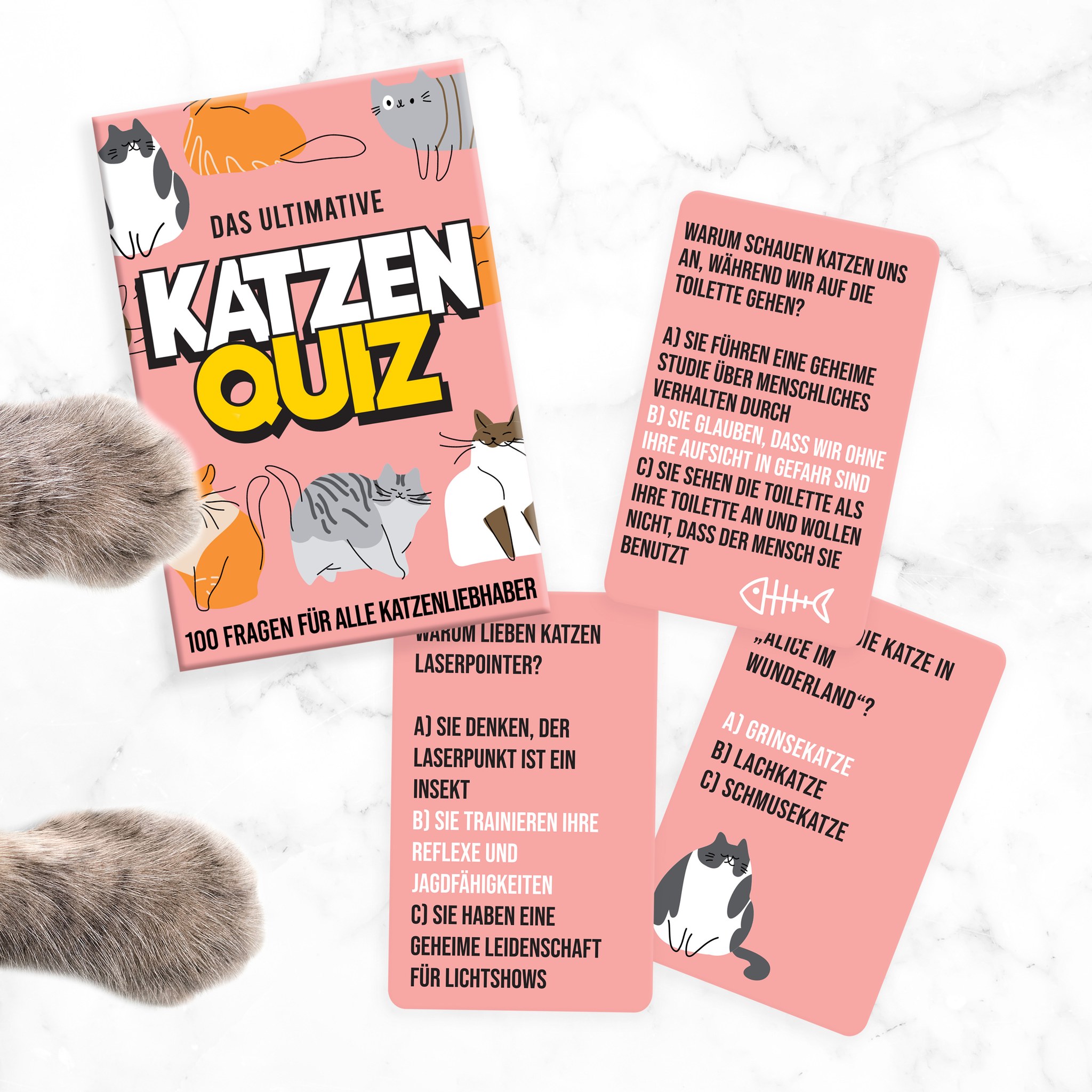 Katzen-Quiz mit ausgelegten Karten und Katzenpfoten auf hellem Marmor