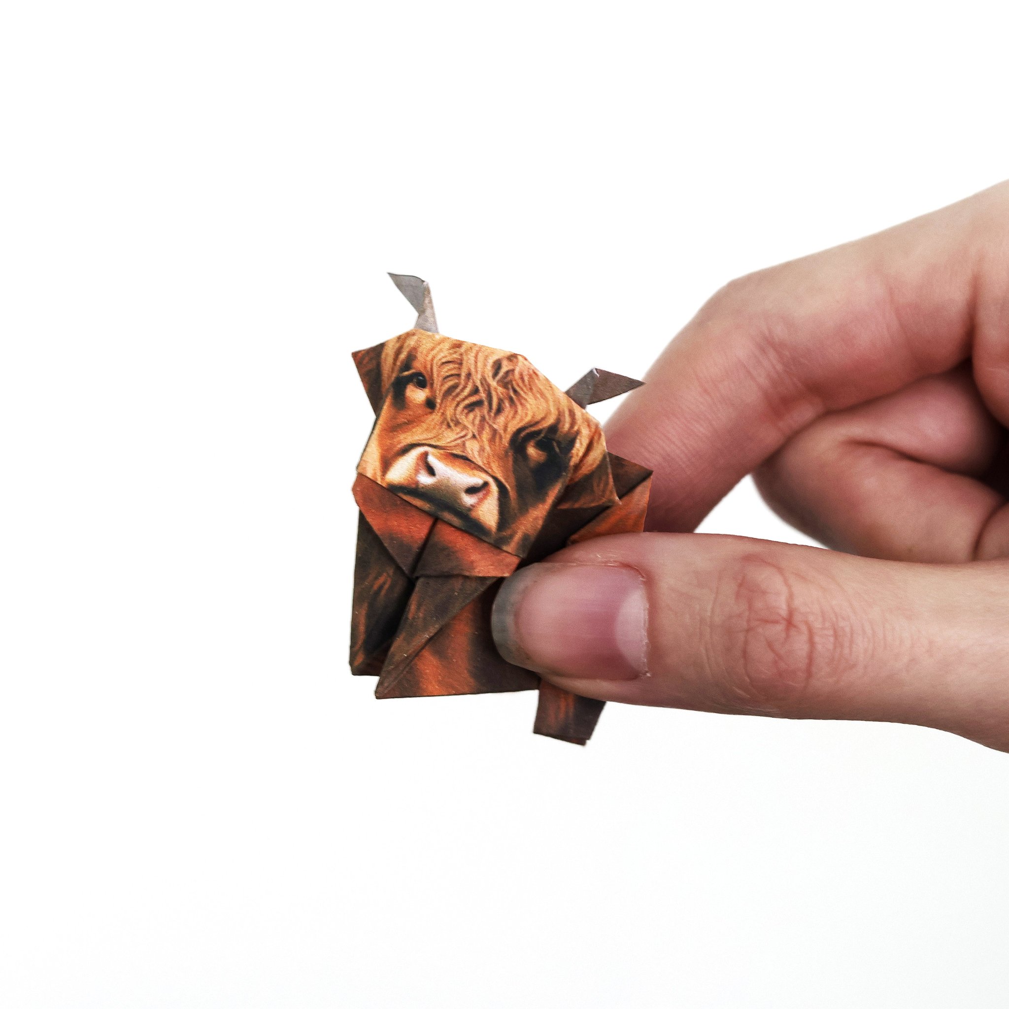 Folded paper Highland cow with horns held in the hand against white