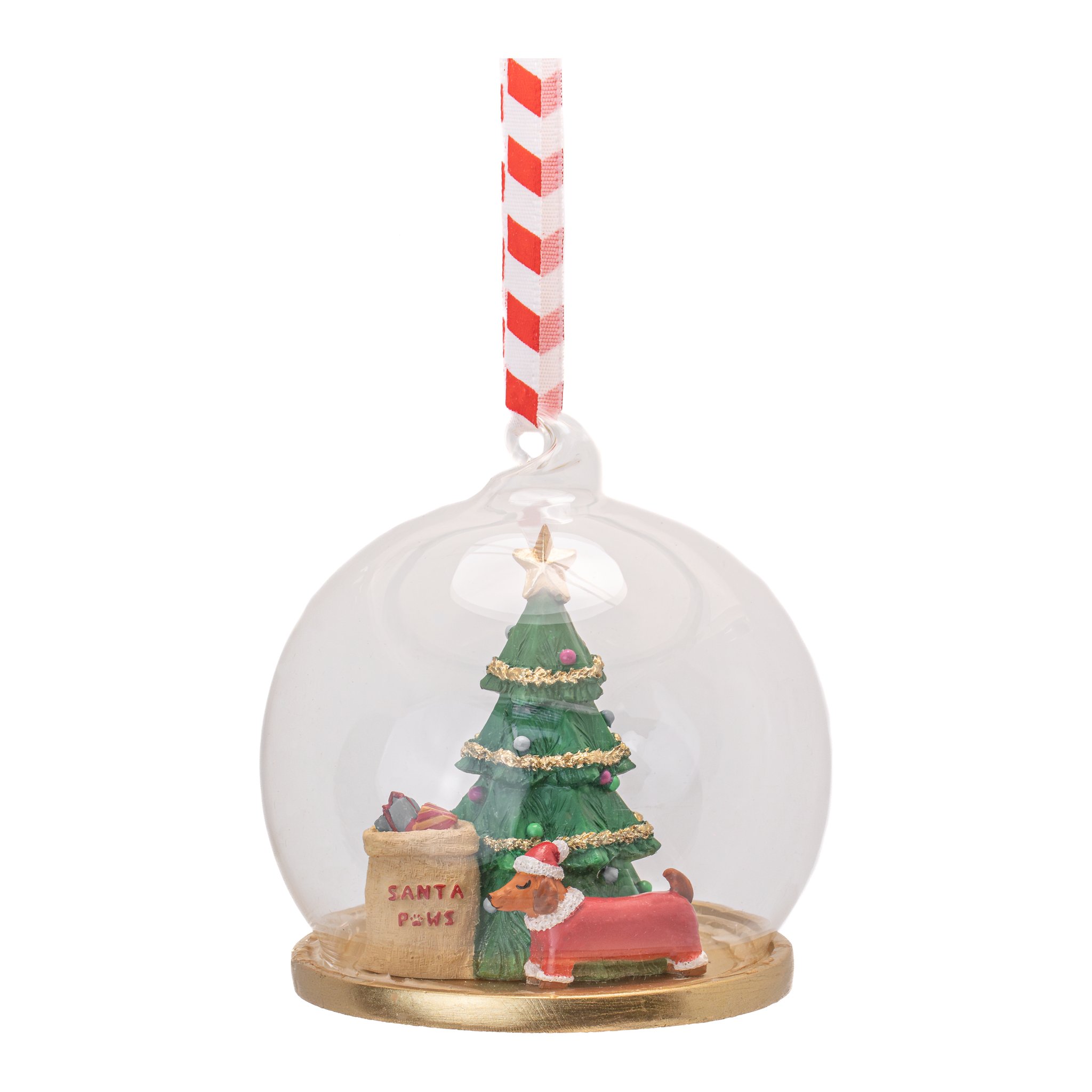 Boule de Noël Santa Paws Sass & Belle, dôme en verre avec teckel en costume de Père Noël et sapin, détourée