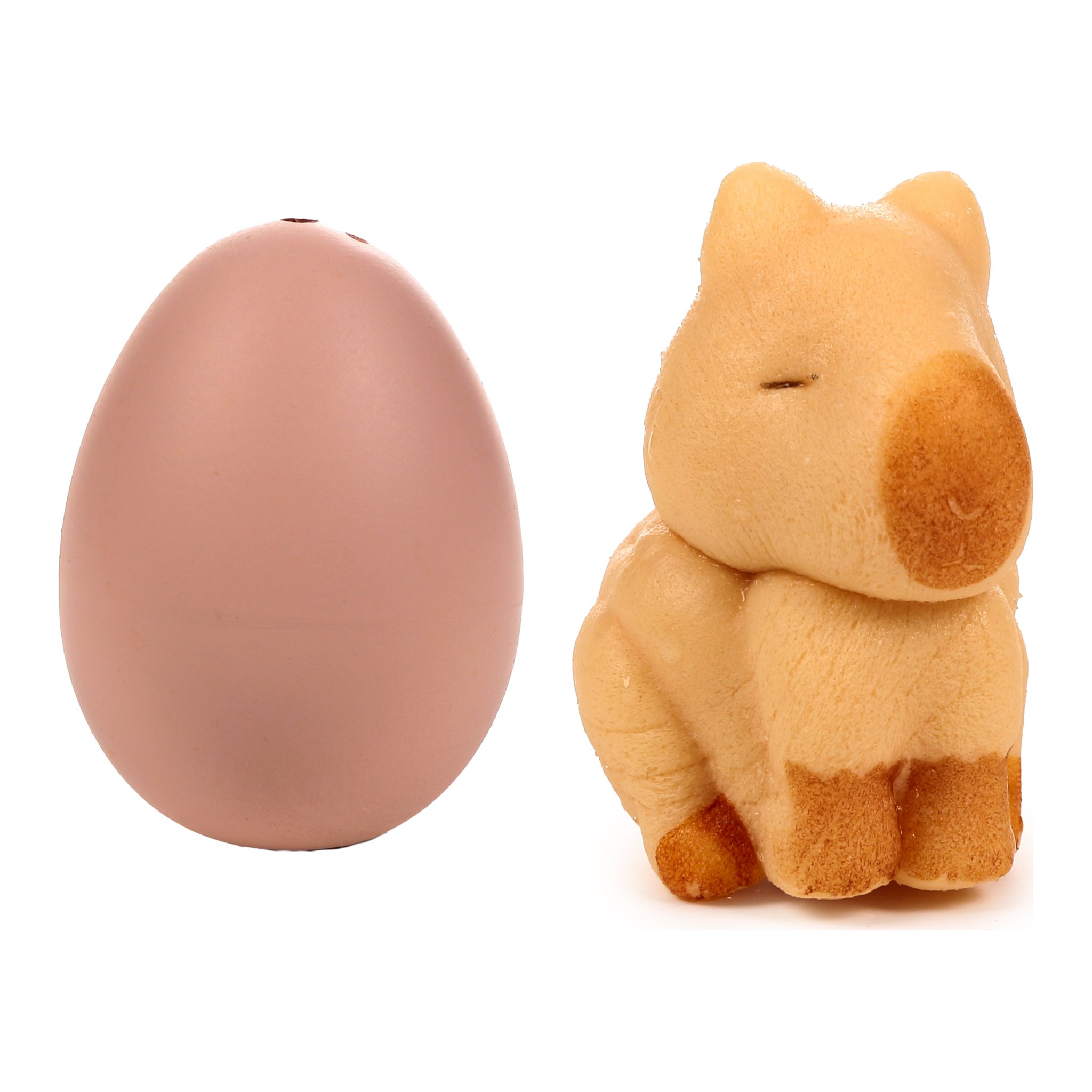 Capybara hatching egg with the hatched capybara beside it