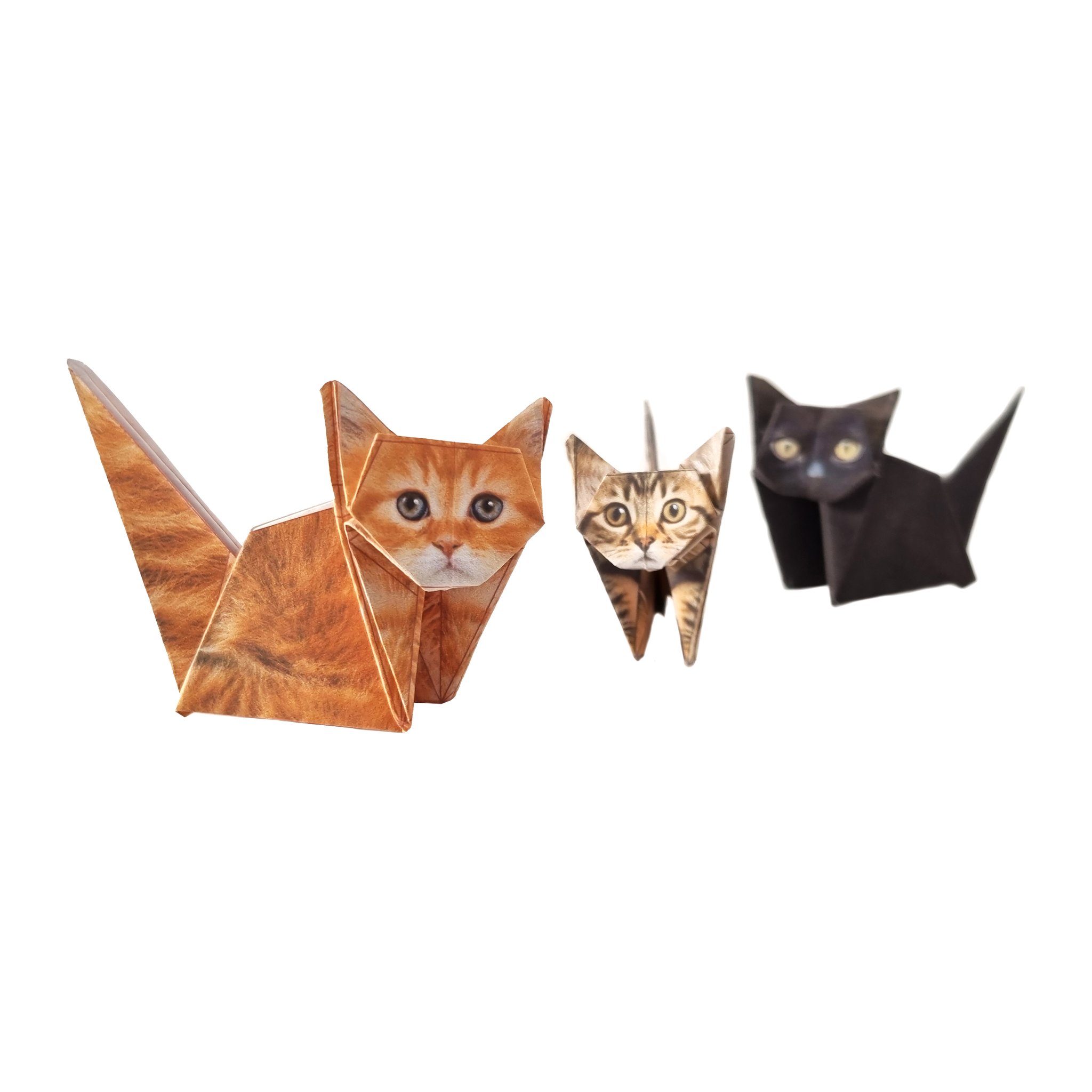 Pikkii Paper Cats Origami-Set – Verpackung mit gefalteten Papier-Katzen