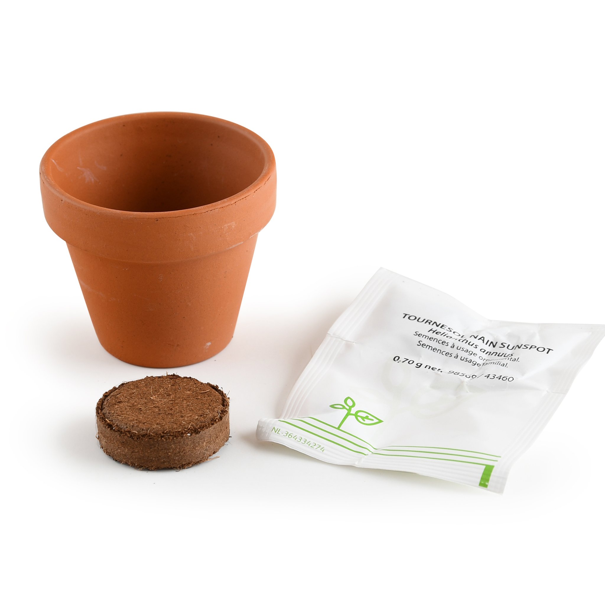 Mini Kit Girasole Contenuto – Vaso in terracotta, pastiglia di cocco, bustina di semi