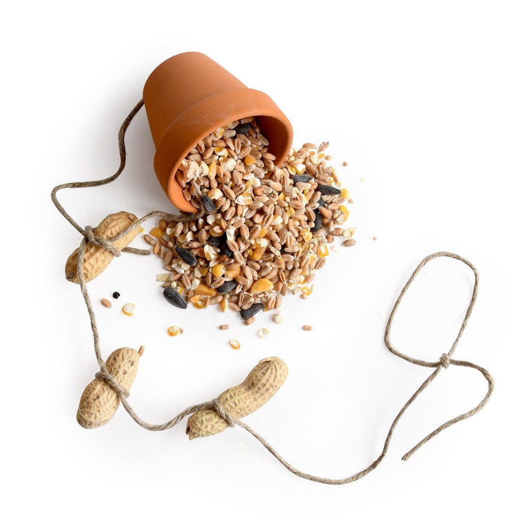 Bird Feeder Craft Kit