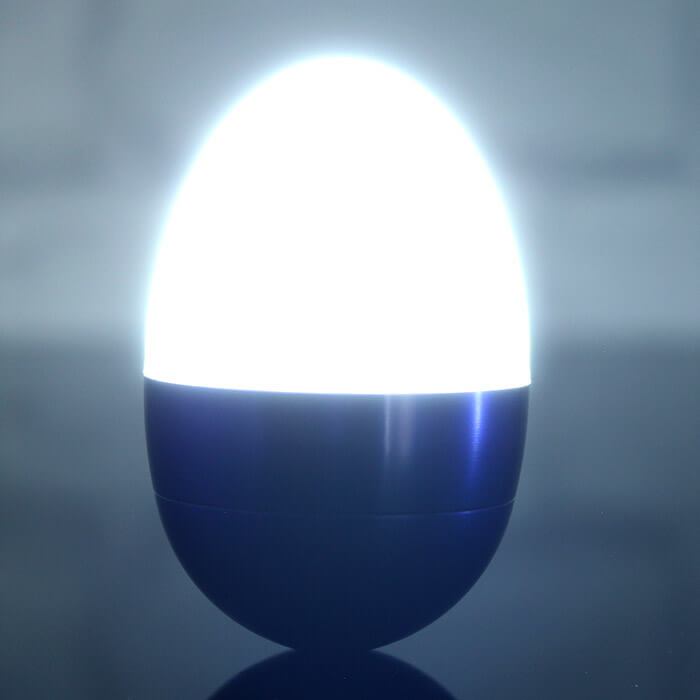 Egghead LED Light