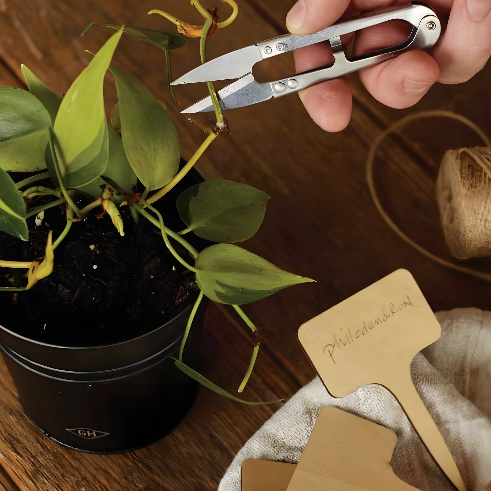 Geschenkset für Hobby Gärtner von Gentlemens Hardware