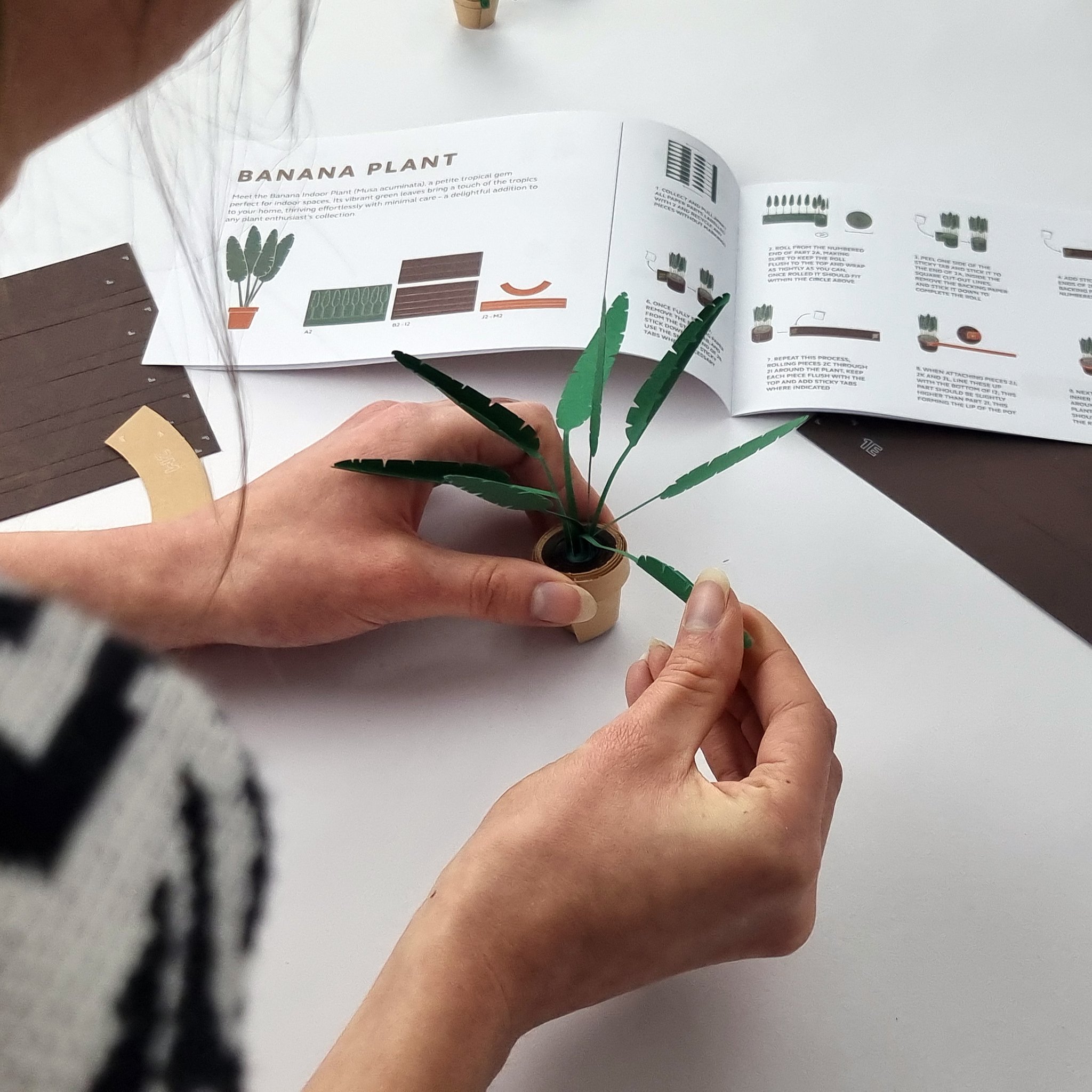 Paper Plants Origami-Set – 5 Mini-Pflanzen (Bild 3)