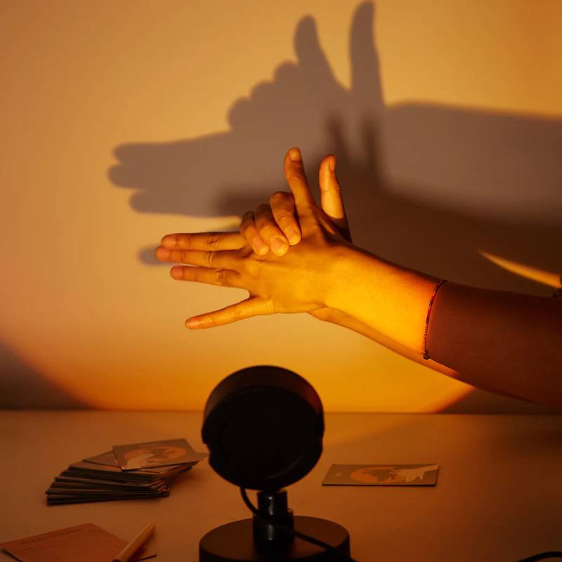 Shadow Game
