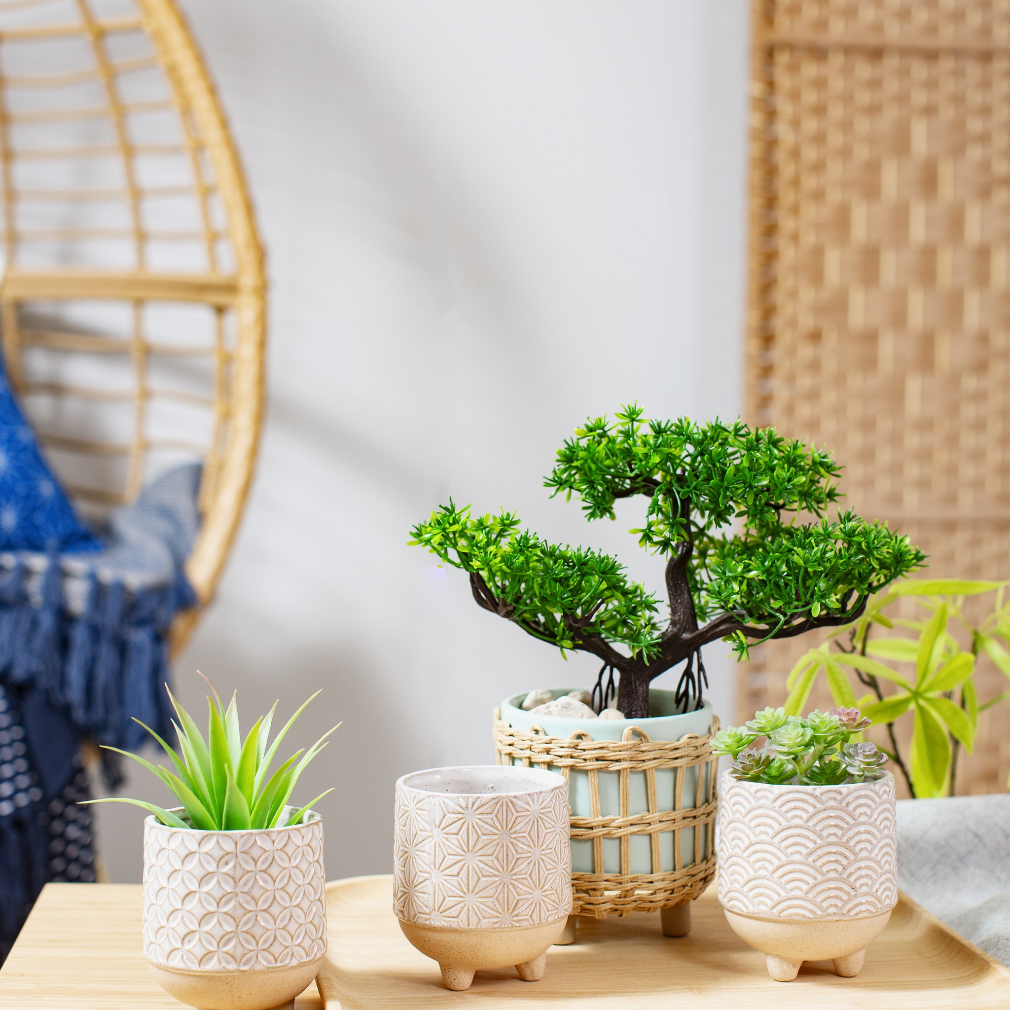 Geflochtener Blumentopf mit Bonsai neben Keramiktöpfen auf Holztisch
