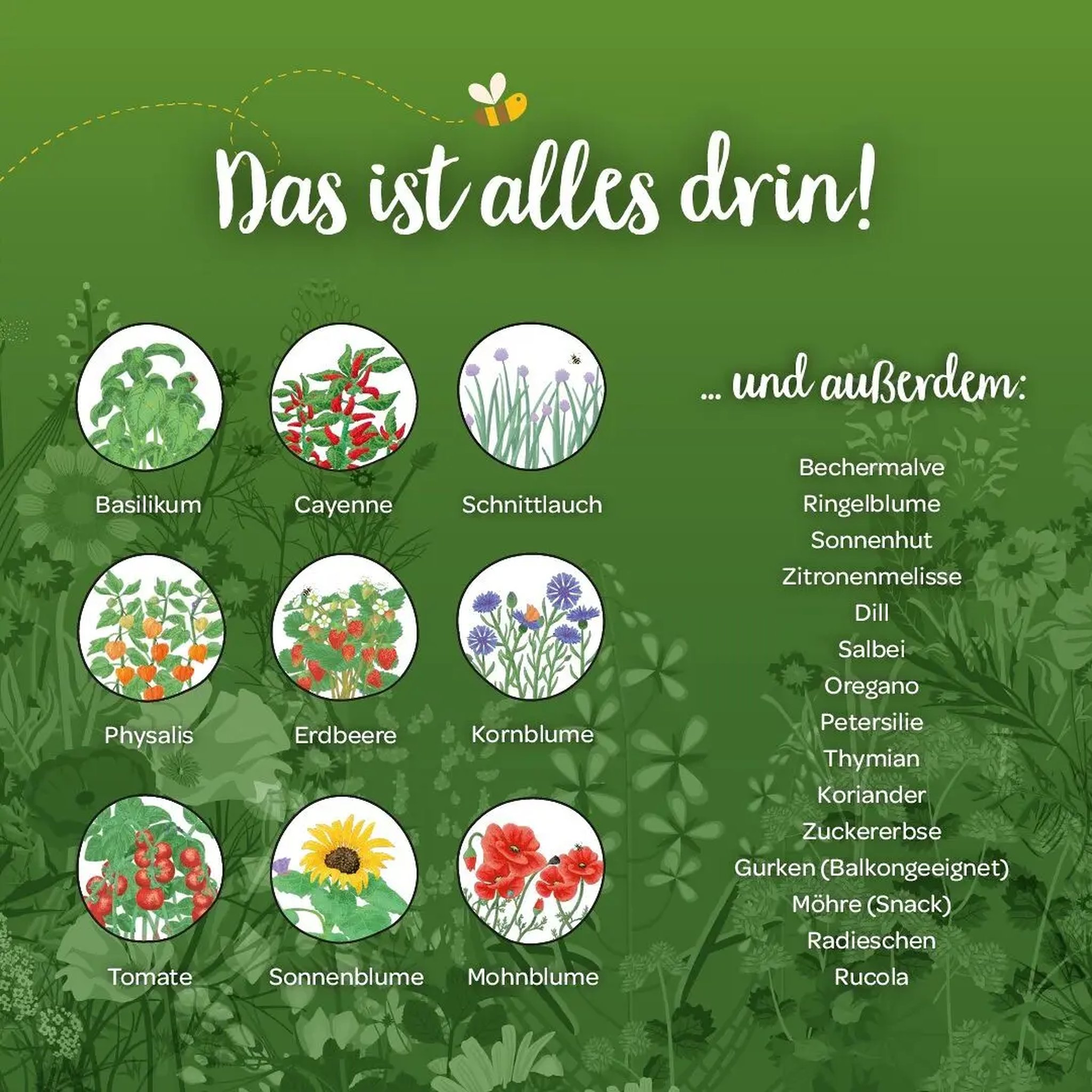 Contents overview with the 24 varieties, from basil and tomato to sunflower, radish and rocket