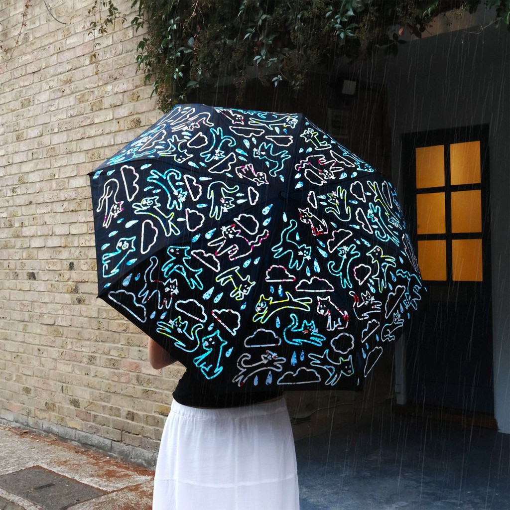 Es regnet Katzen und Hunde Regenschirm