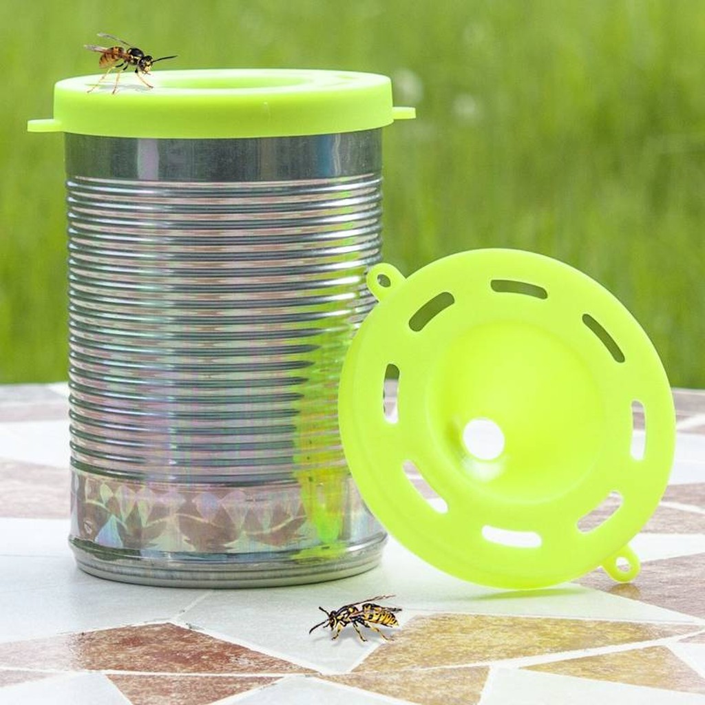 Billige Ökologische Wespenfalle