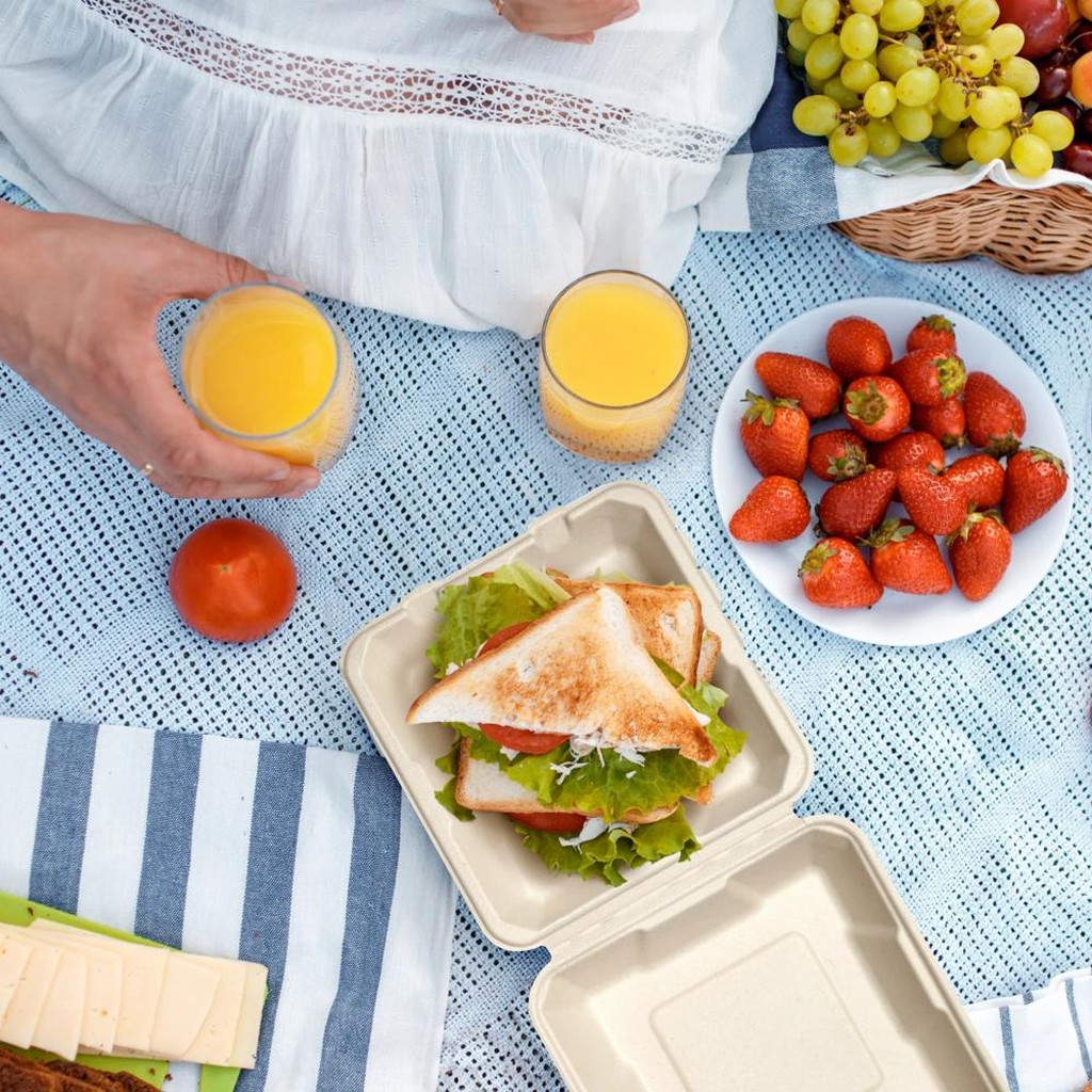 90 Burgerboxen aus Zuckerrohr