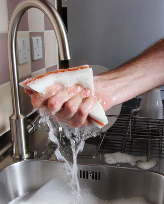 Sandwich Sponge