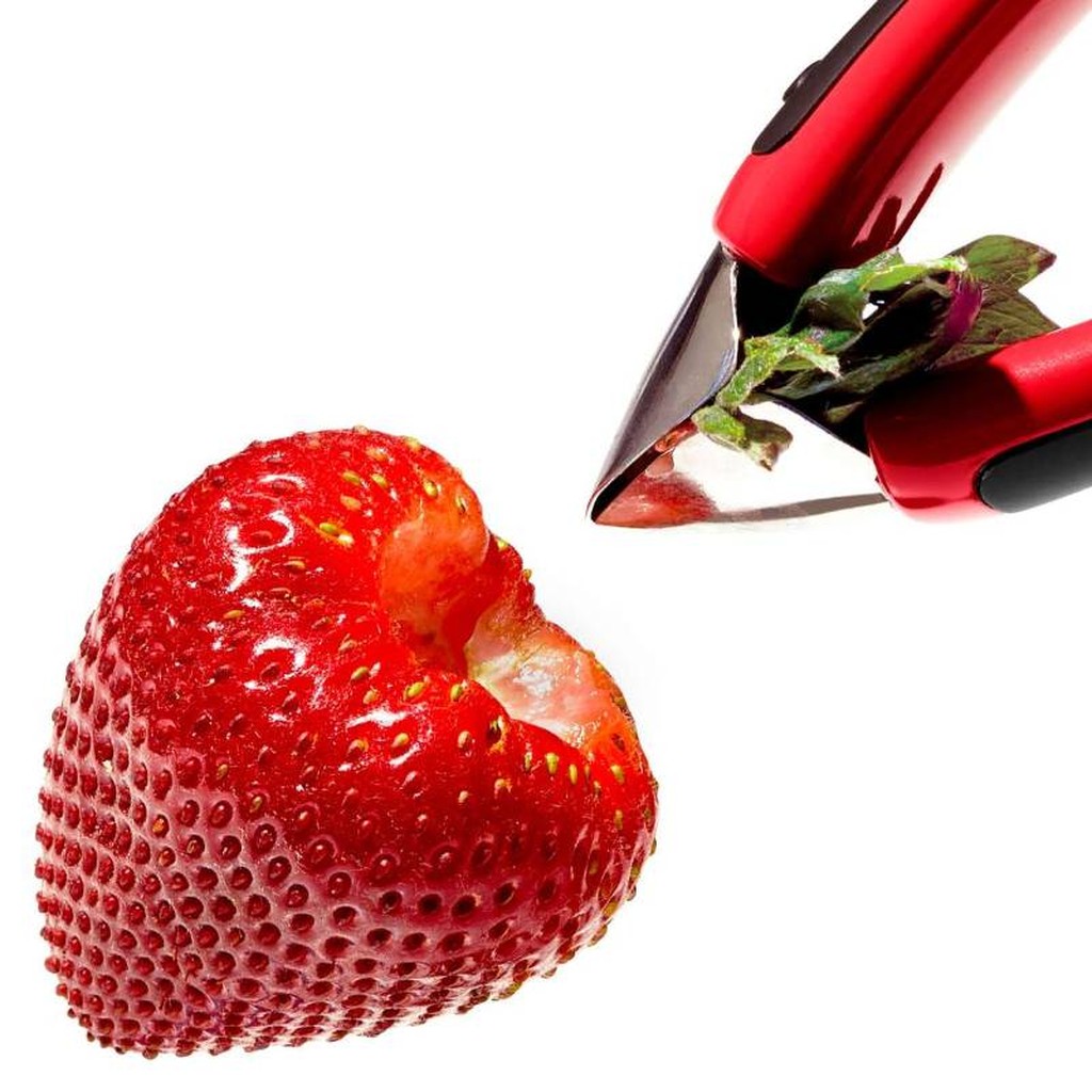 OXO Erdbeerstrunk-Entferner