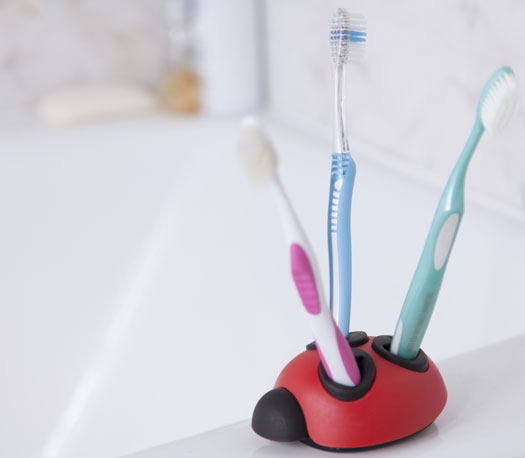 Zahnbürstehalter Marienkäfer