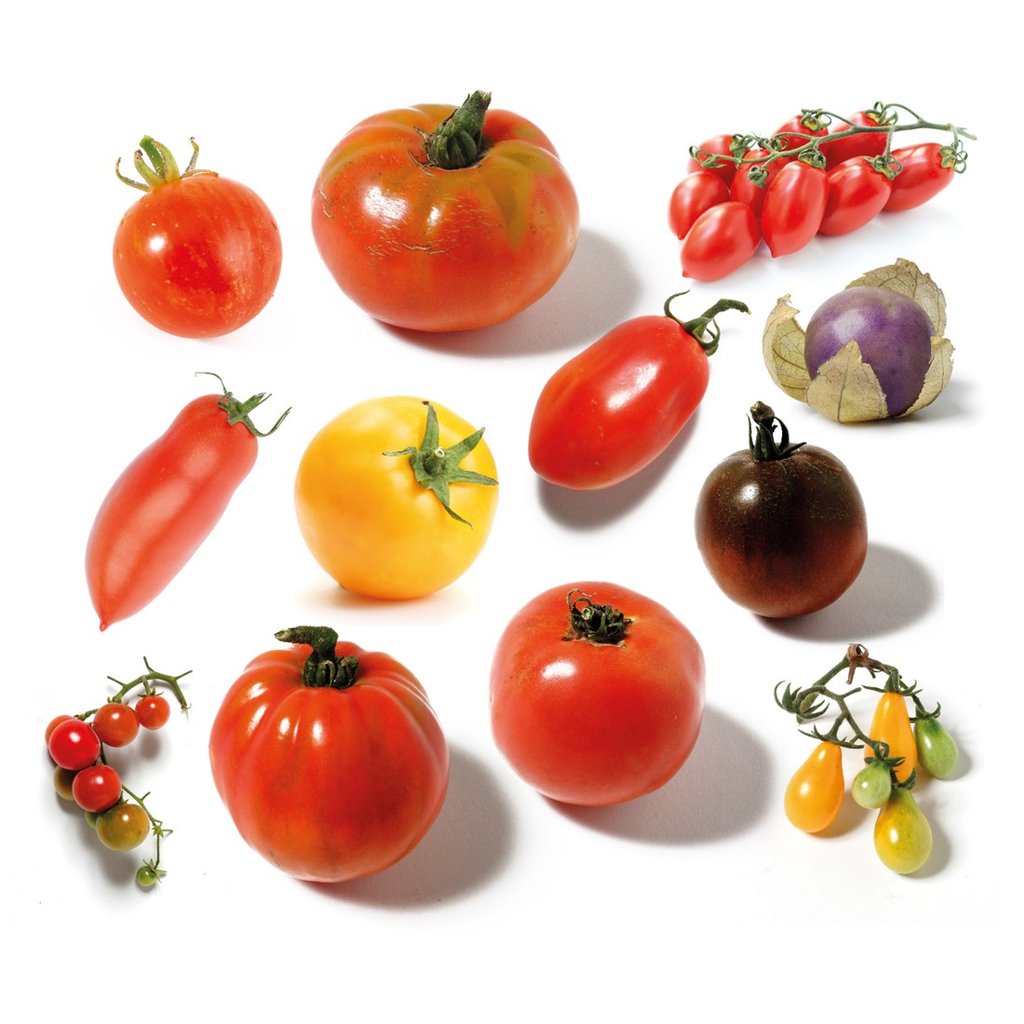 Alte Tomatensorten Saatgut-Set – 12 Sorten