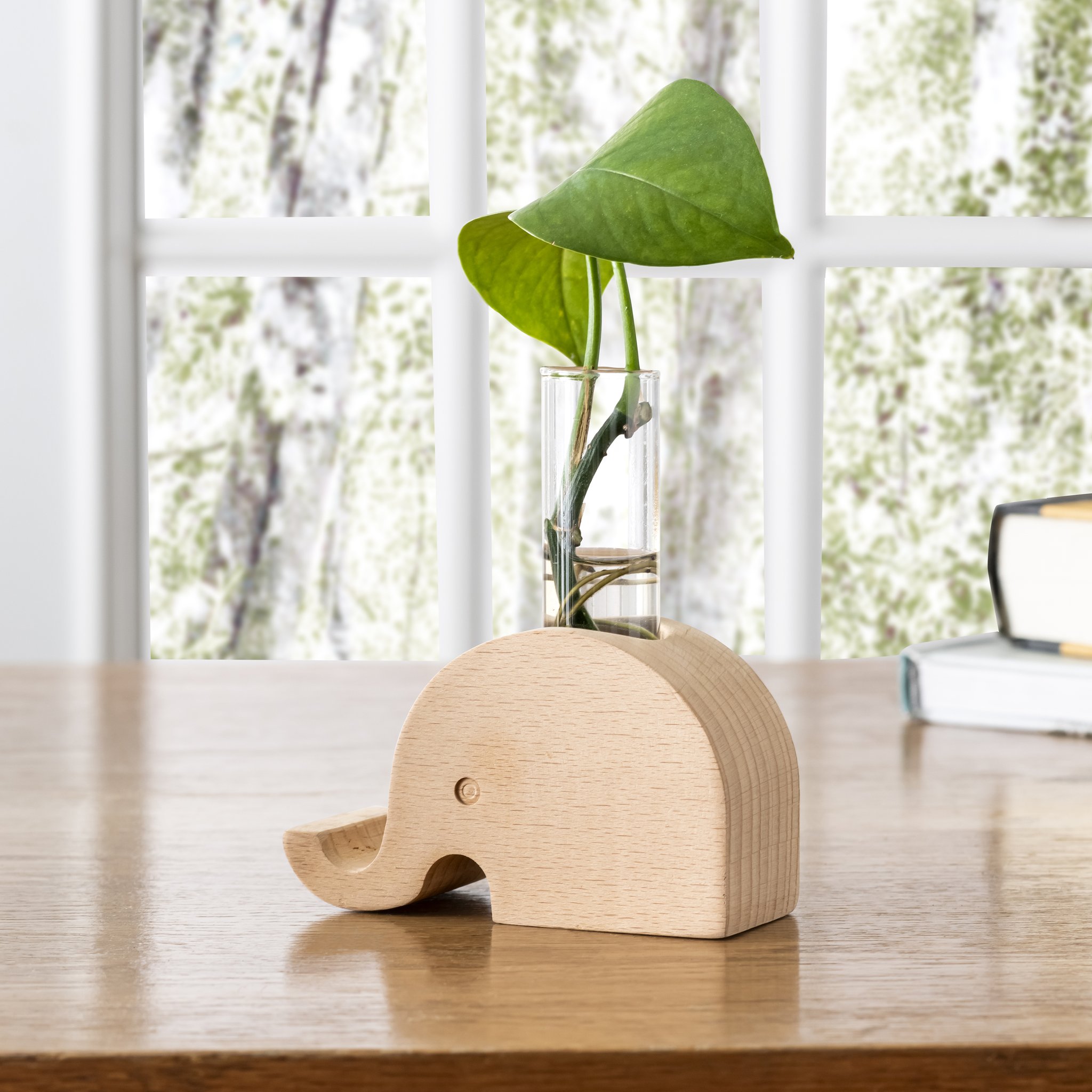 Elefant-Vase aus Holz mit Glasröhrchen und Pflanzensteckling am Fenster