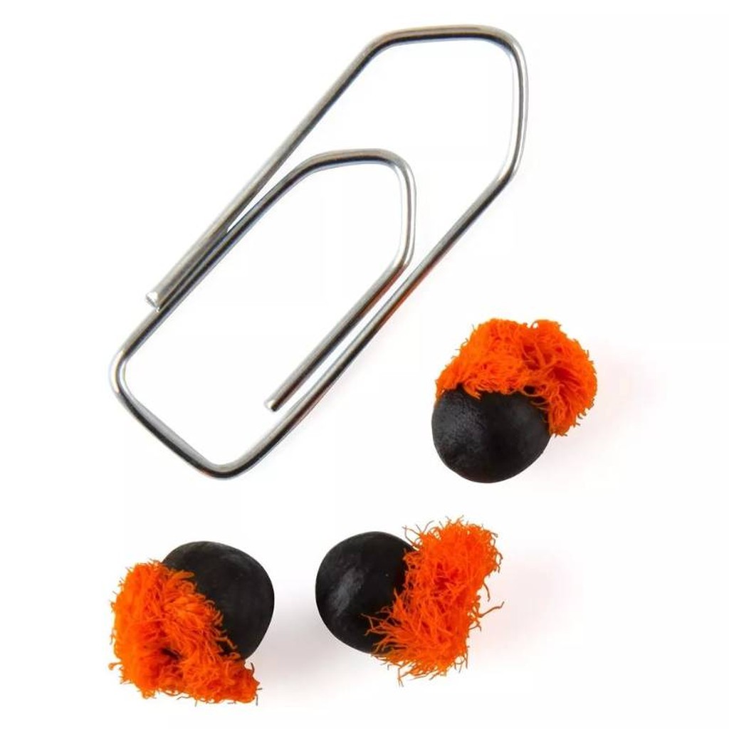 Strelitzien-Samen-Set