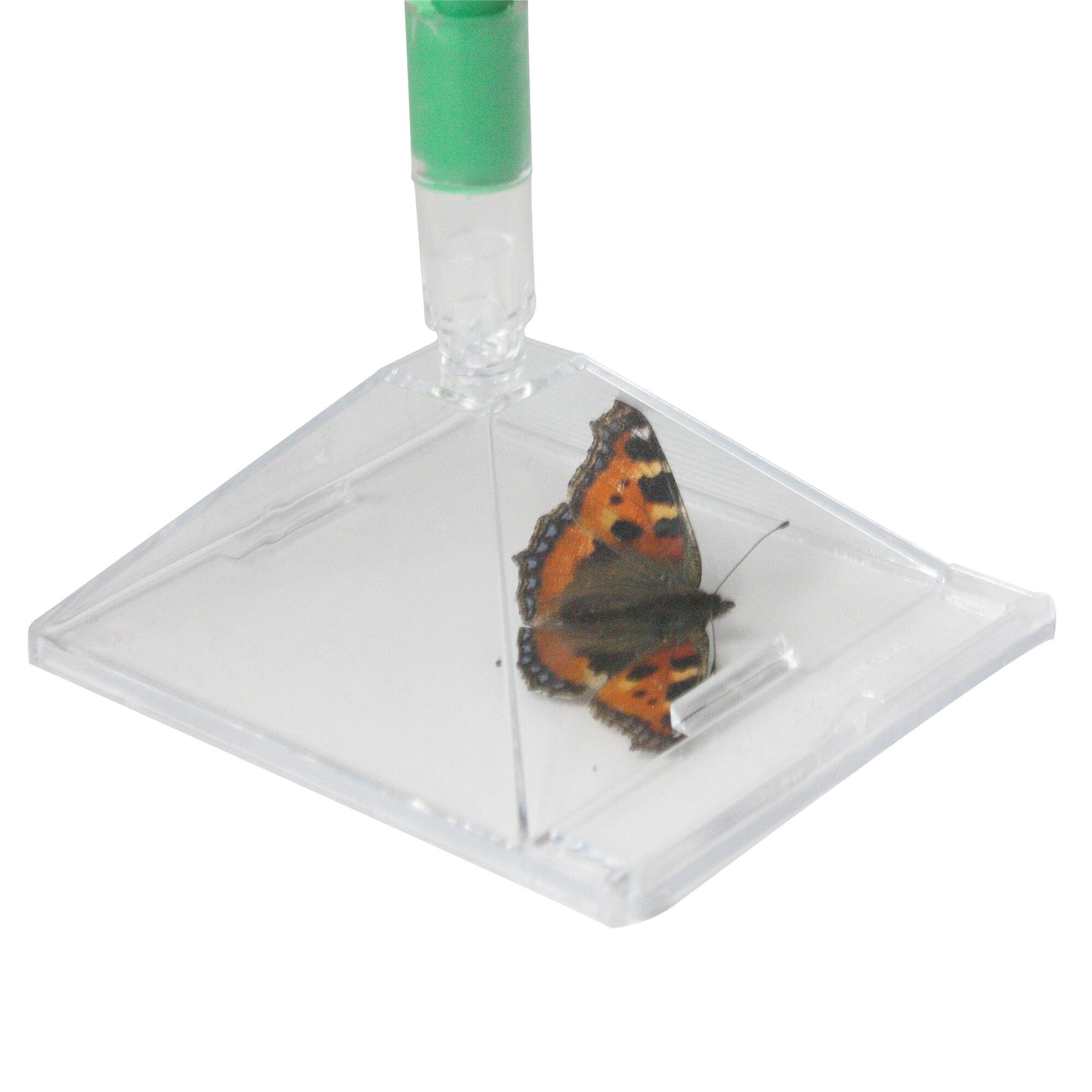 Attrape-insectes Katcha-Bug