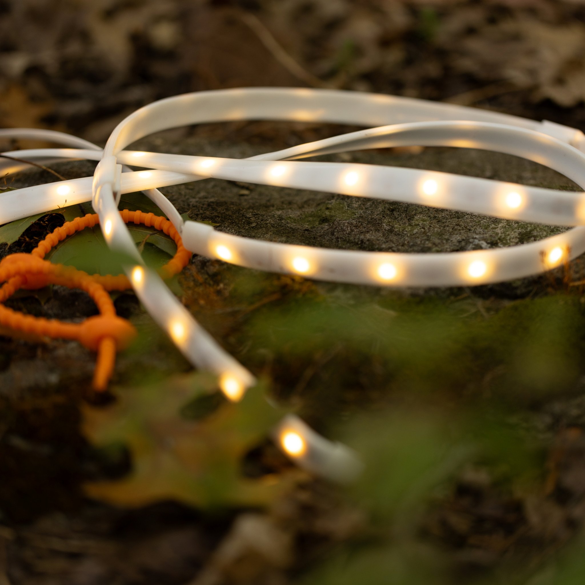 Leuchtender LED-Lichtschlauch in Schlingen auf einem bemoosten Stein im Wald, daneben orange Kabelbinder