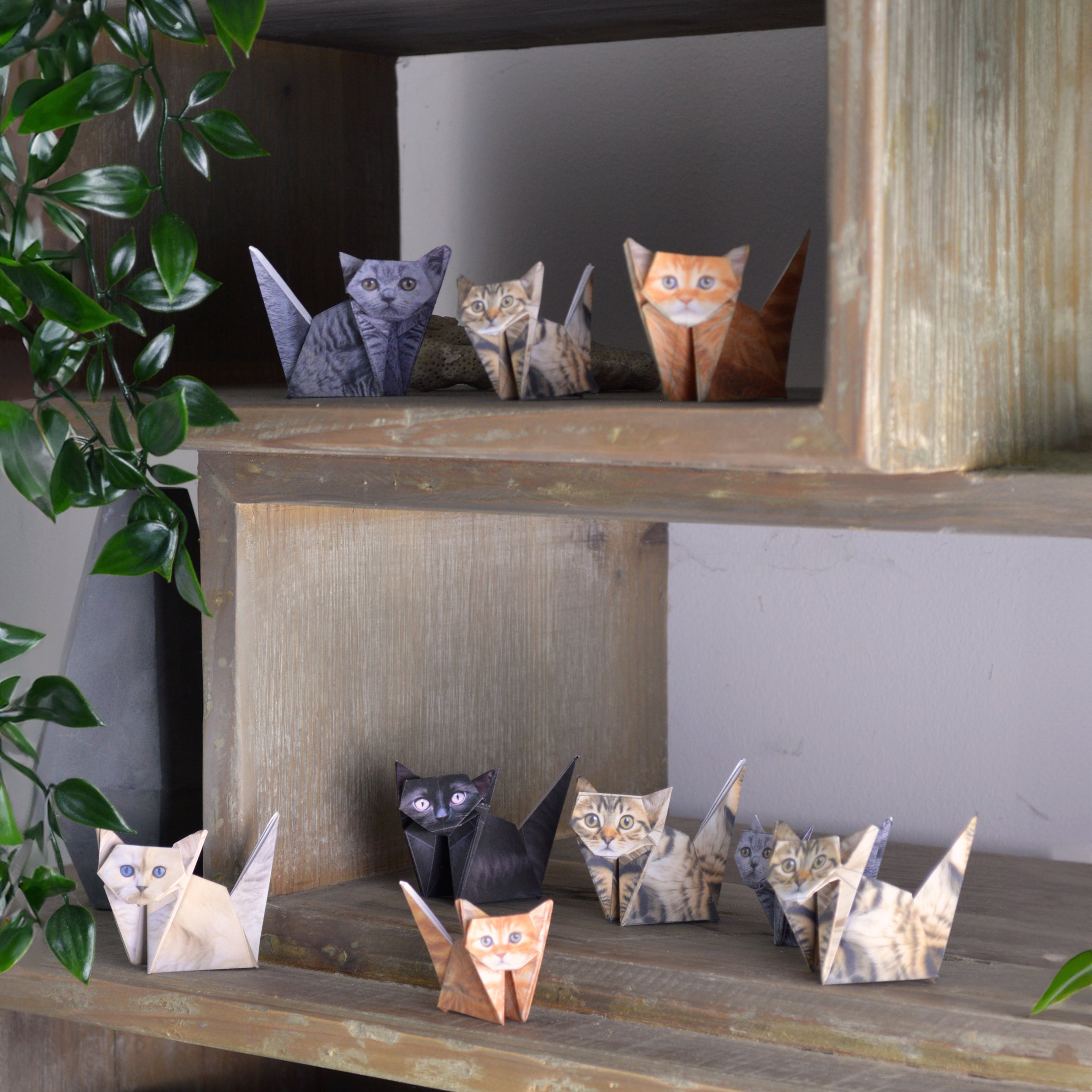 Paper Cats Origami-Set – gefaltete Katzen im Regal