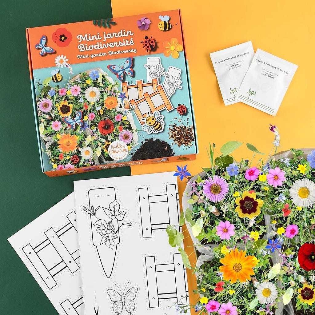 Miniaturgarten Biodiversitaet Set mit bunter Blumenwiese und Bastelbogen