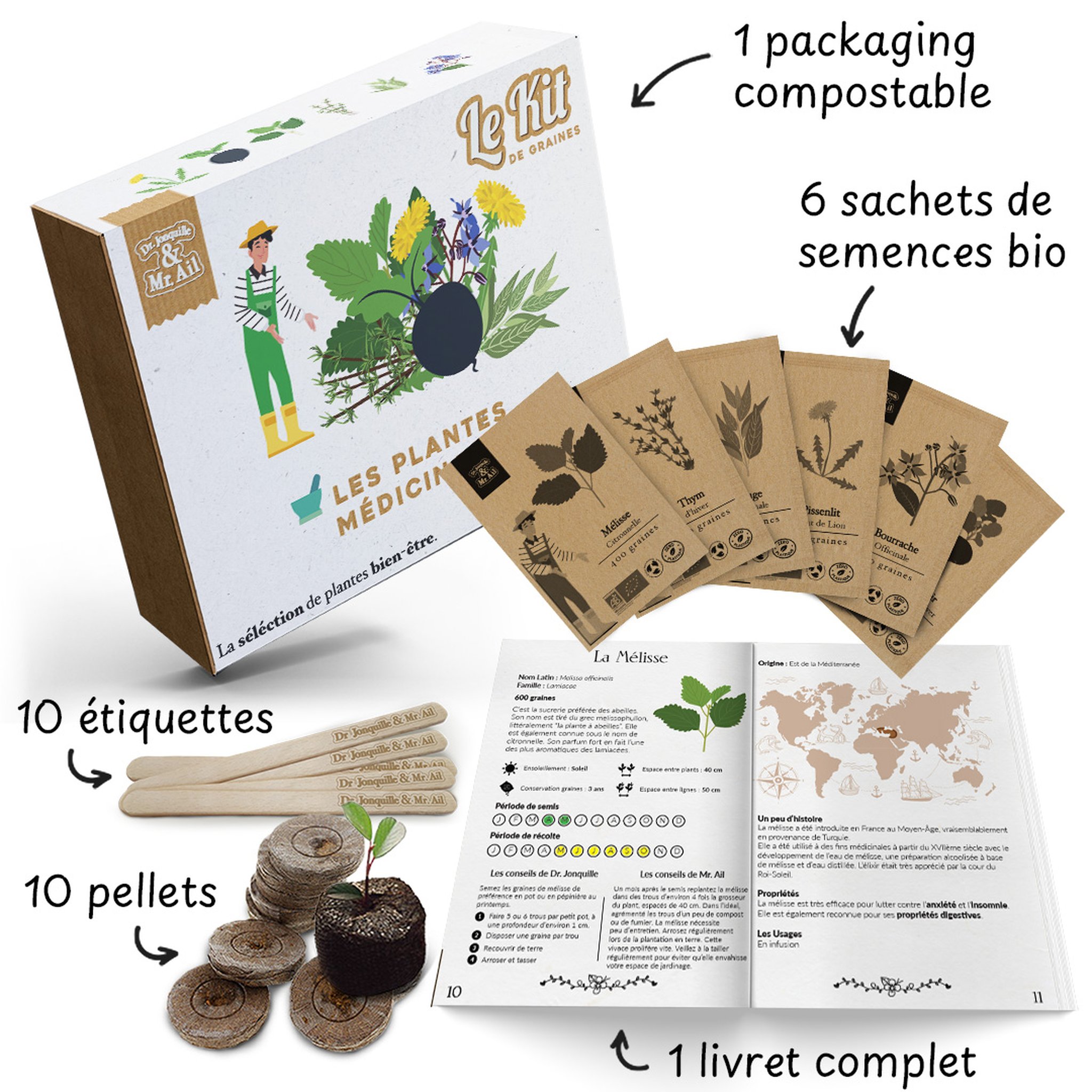 Pflanzset Heilpflanzen