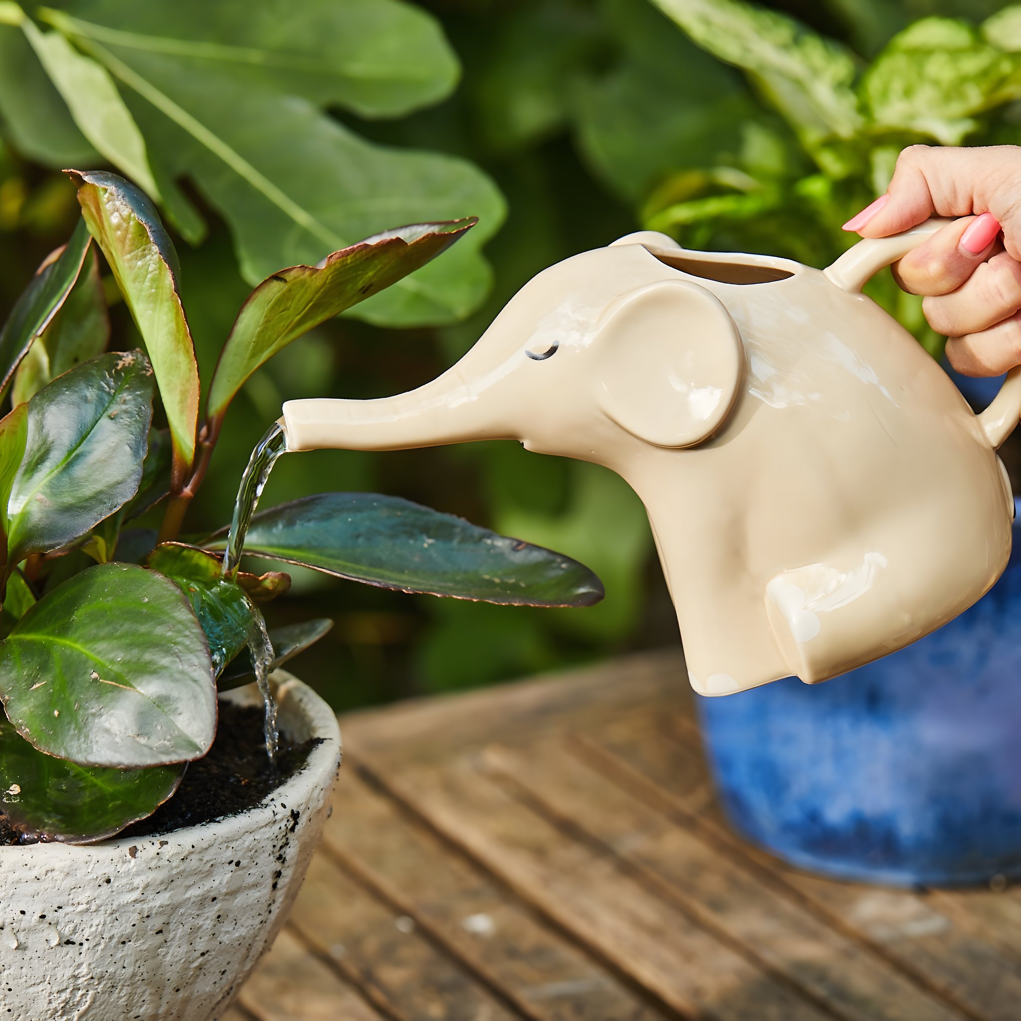 Annaffiatoio elefante Sass & Belle in uso mentre annaffia una pianta d'appartamento – scatto lifestyle