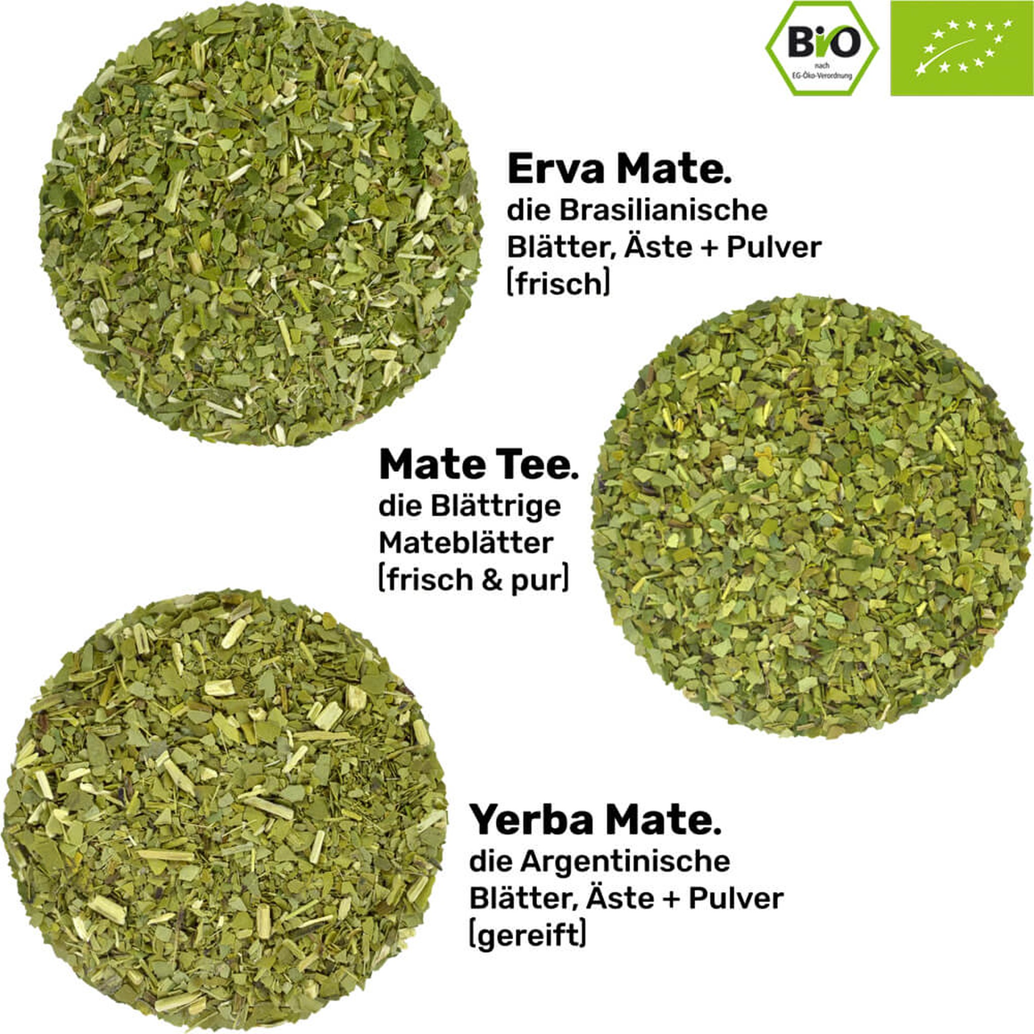 3 organic mate varieties by Caámate: Yerba Mate, Erva Mate and mild Mate Tea