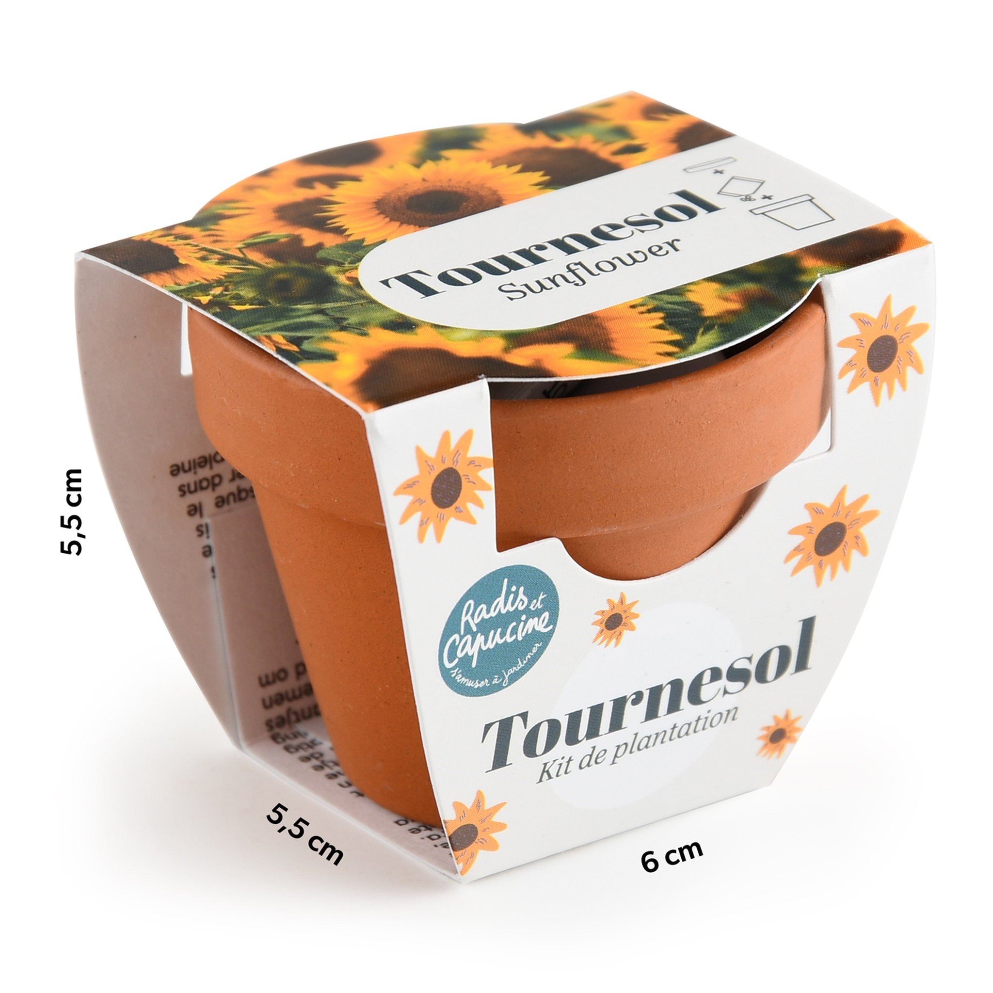 Mini Kit Girasole con dimensioni – 5.5 × 5.5 × 6 cm