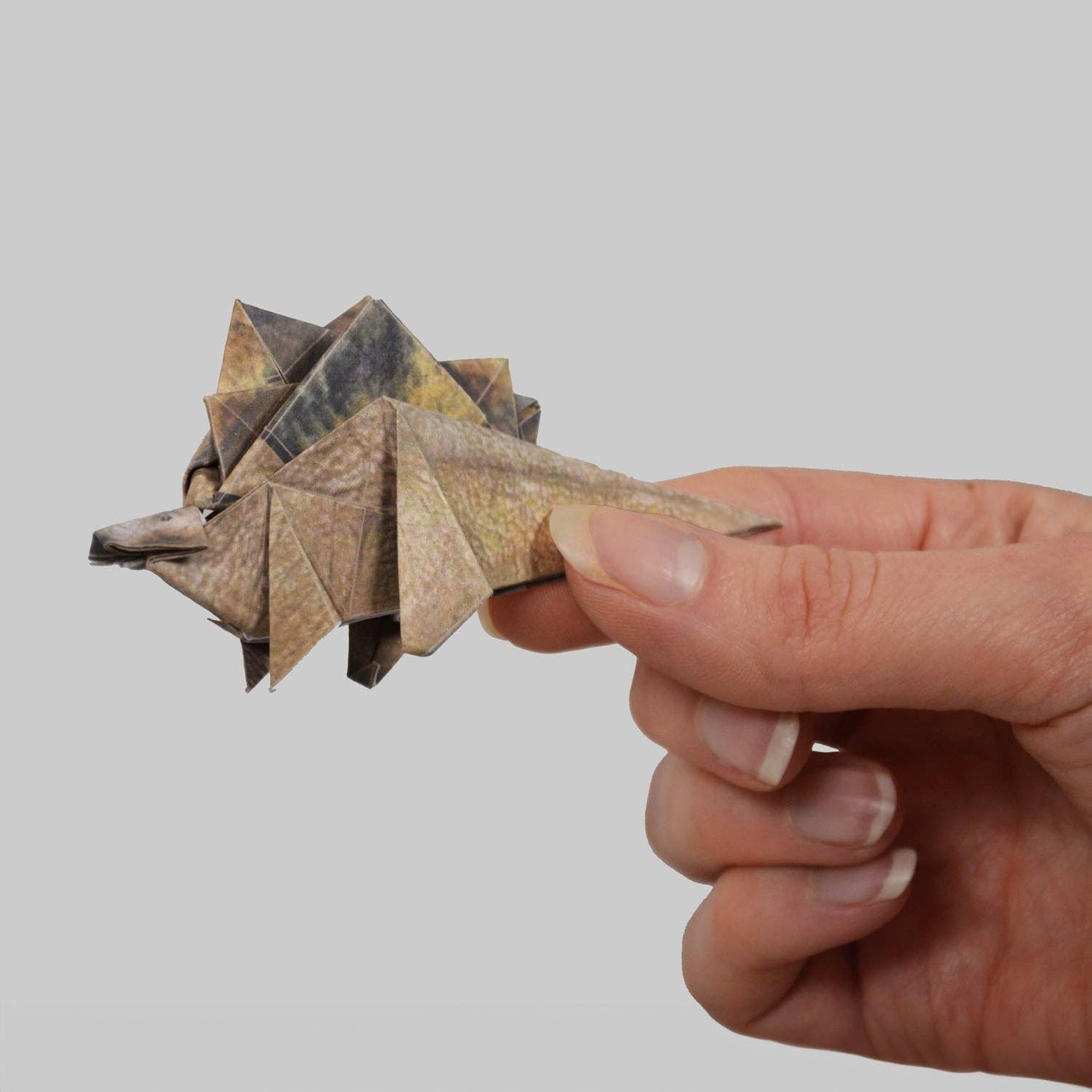 Folded origami Stegosaurus with a realistic print held in the hand