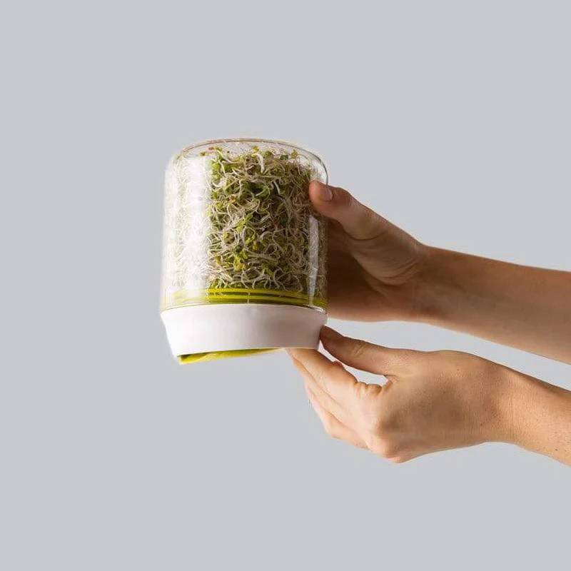 Countertop Sprouter Growing Kit