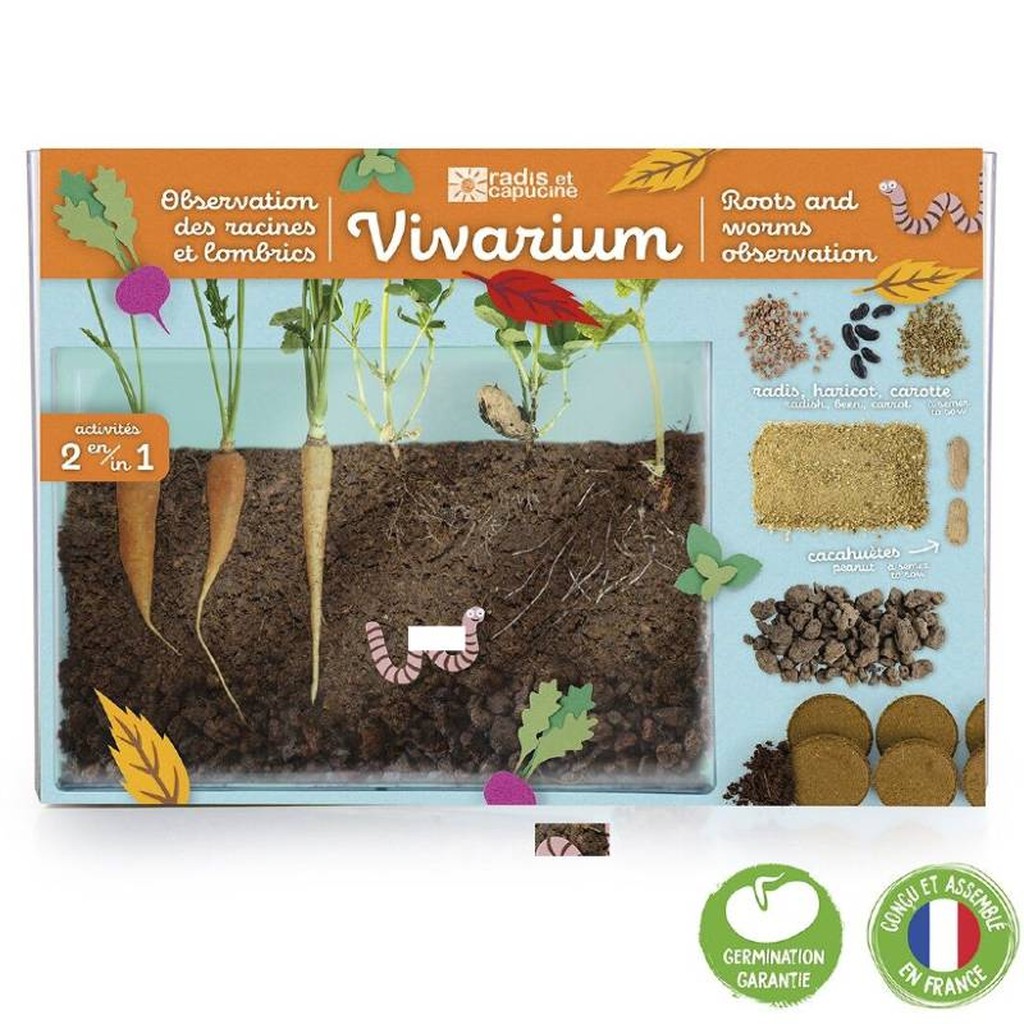 Vivarium Beobachtung der Wurzeln