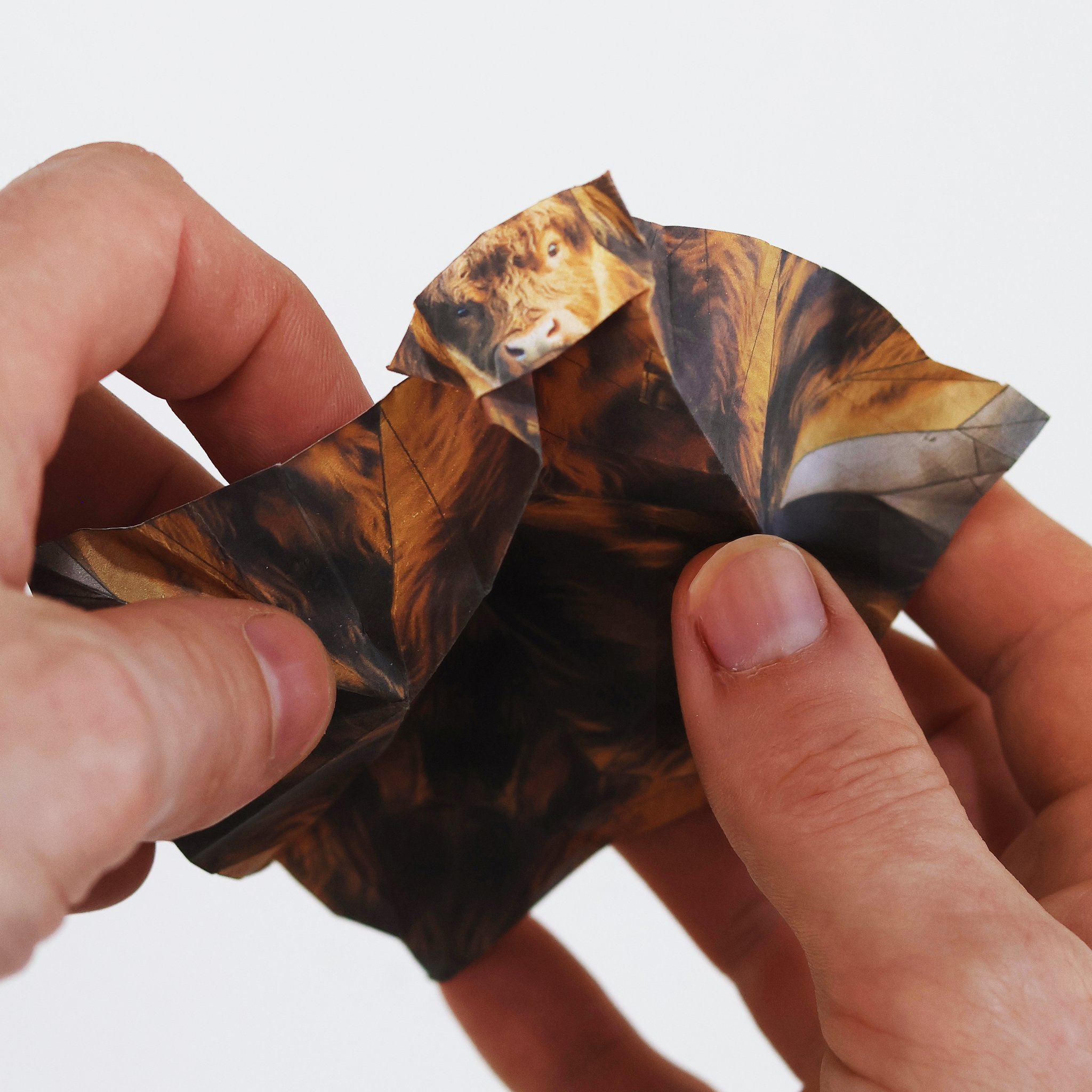 Paper Highland Cows origami set – folding a highland cow