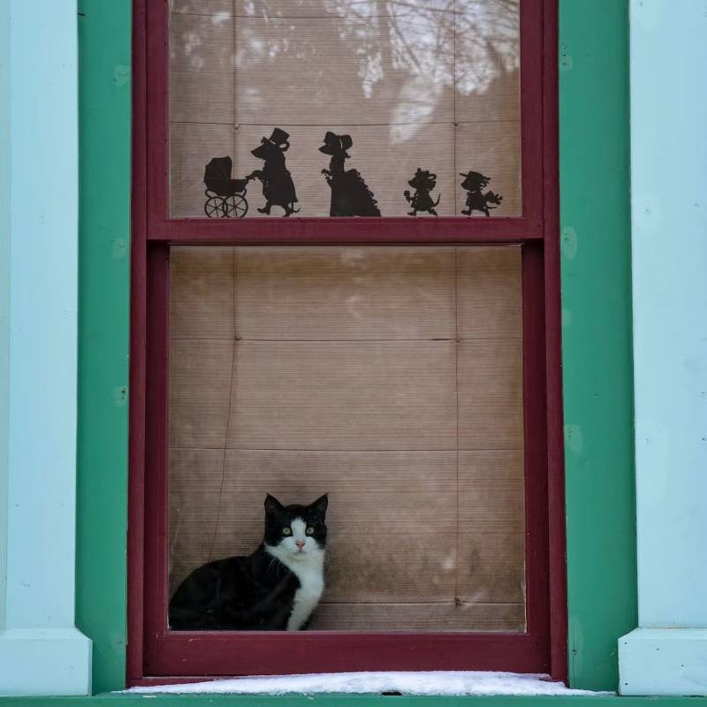 Set Adesivi da Parete Famiglia di Topi Vittoriani
