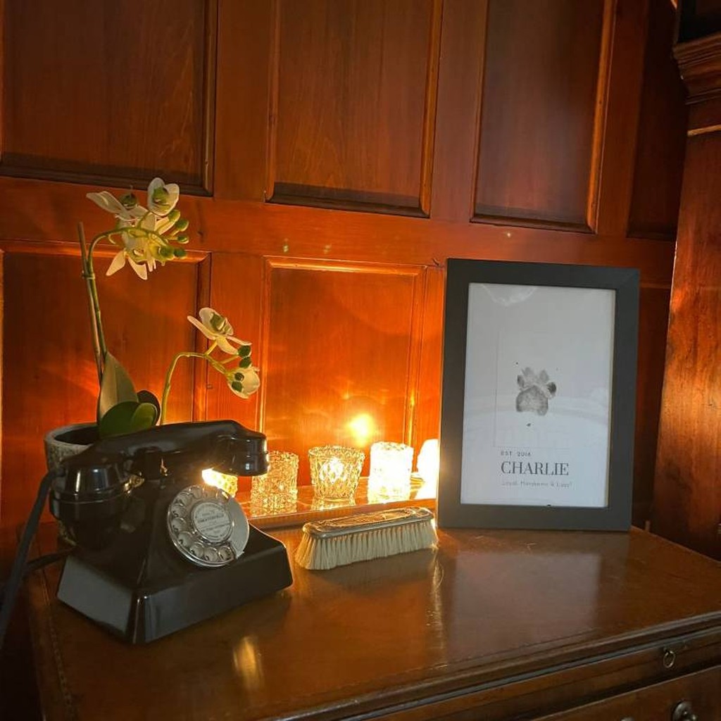 PawPrinter Pfotenabdruck-Set