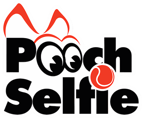Pooch Selfie