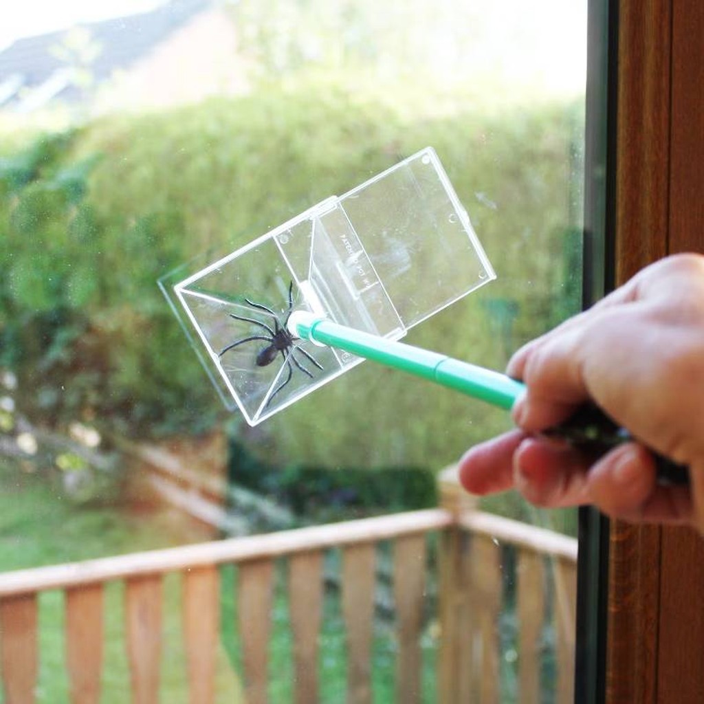 Katcha-Bug Insektenfänger