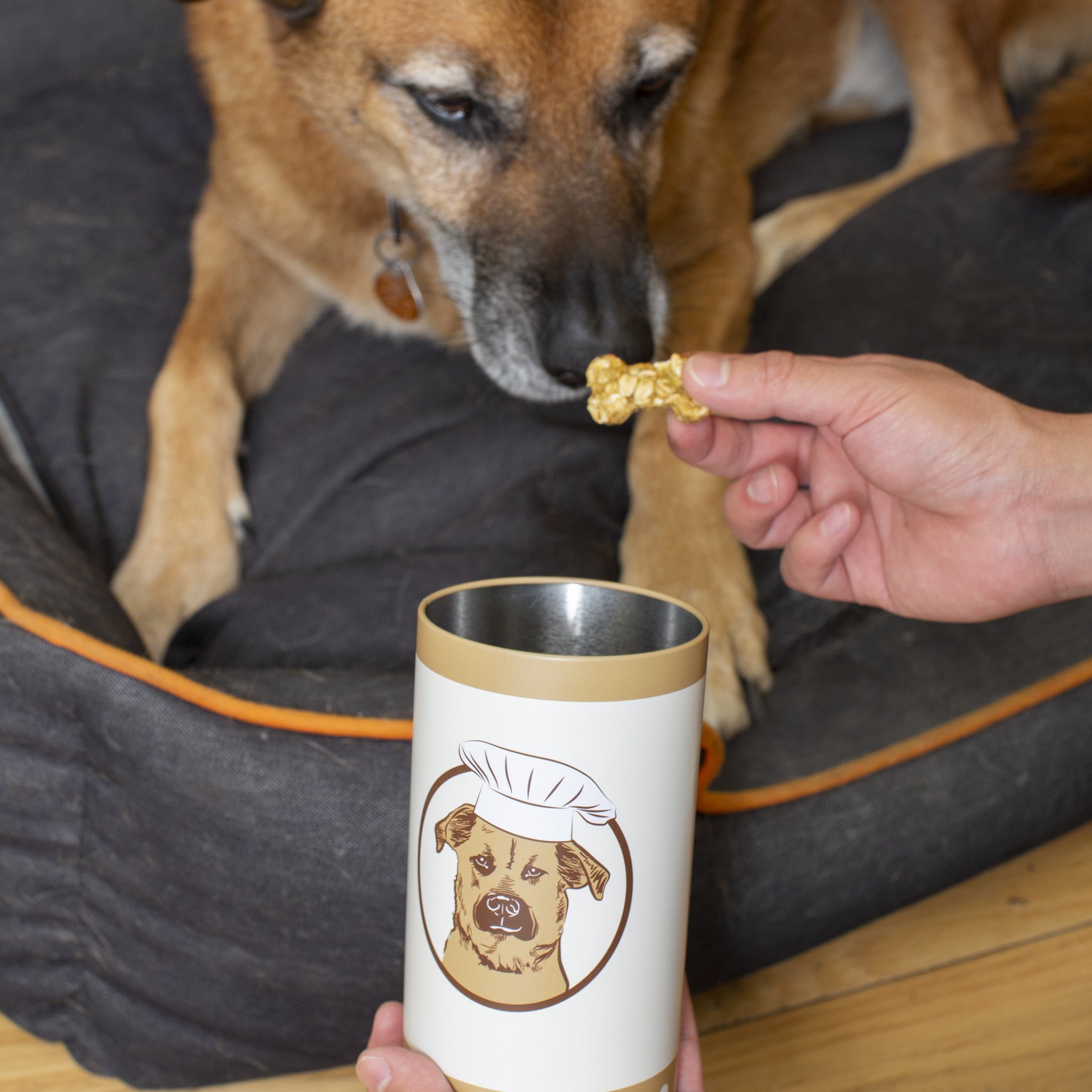 Hund bekommt ein selbst gebackenes Leckerli aus der Dose