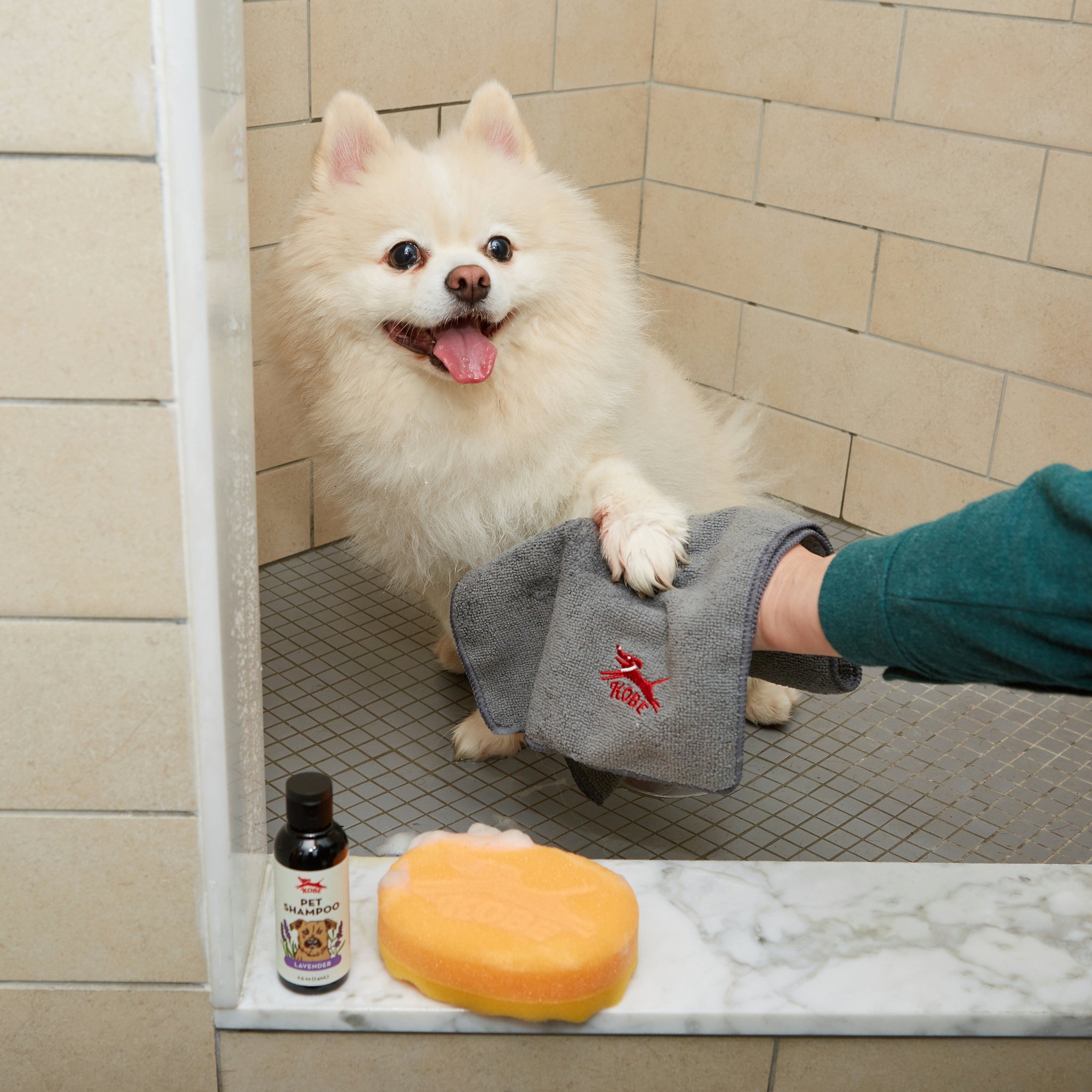 Weisser Hund in der Dusche mit Mikrofasertuch, Shampoo und Schwamm