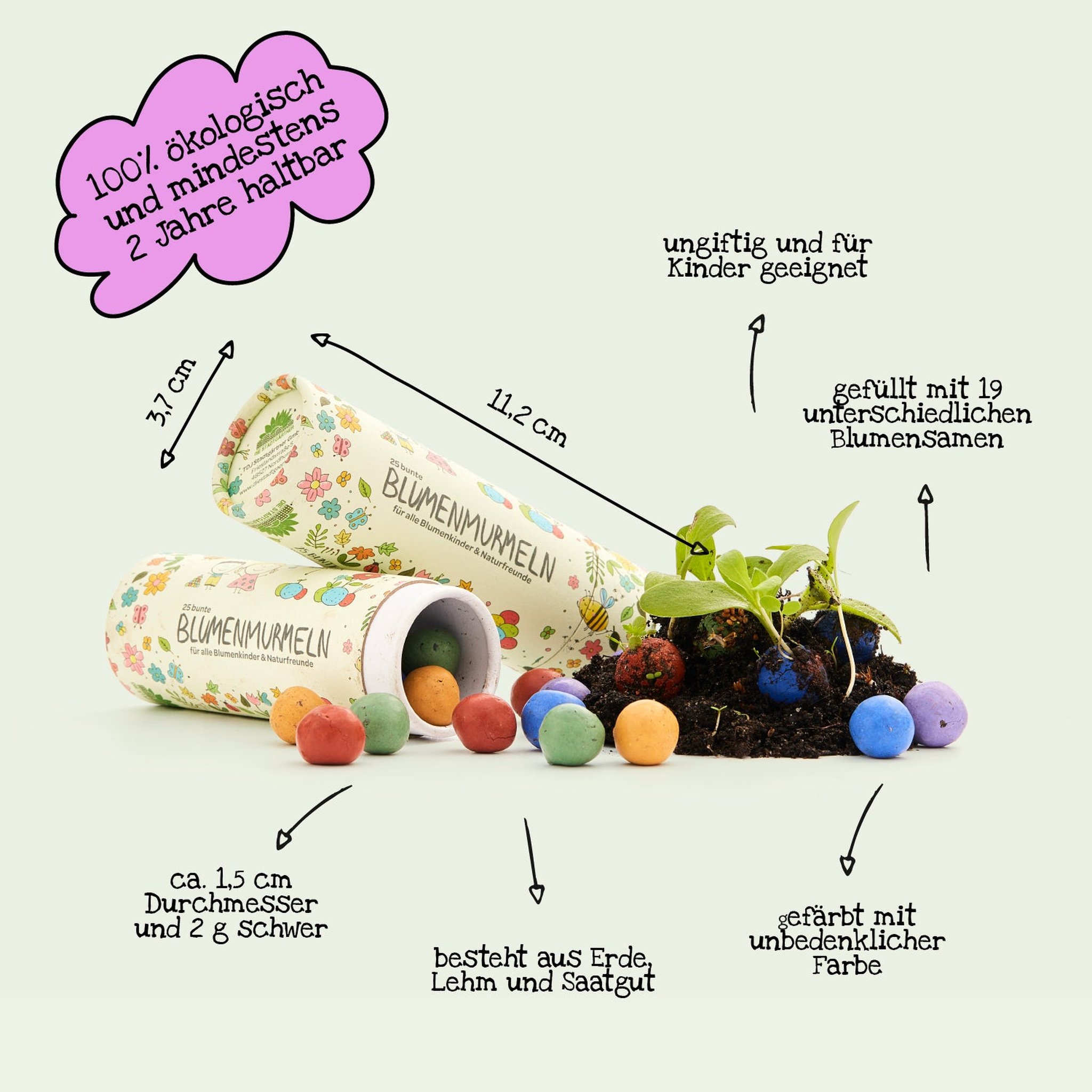 Infografik zu den Blumenmurmeln mit Grösse der Dose und Zusammensetzung aus Erde, Lehm und Saatgut