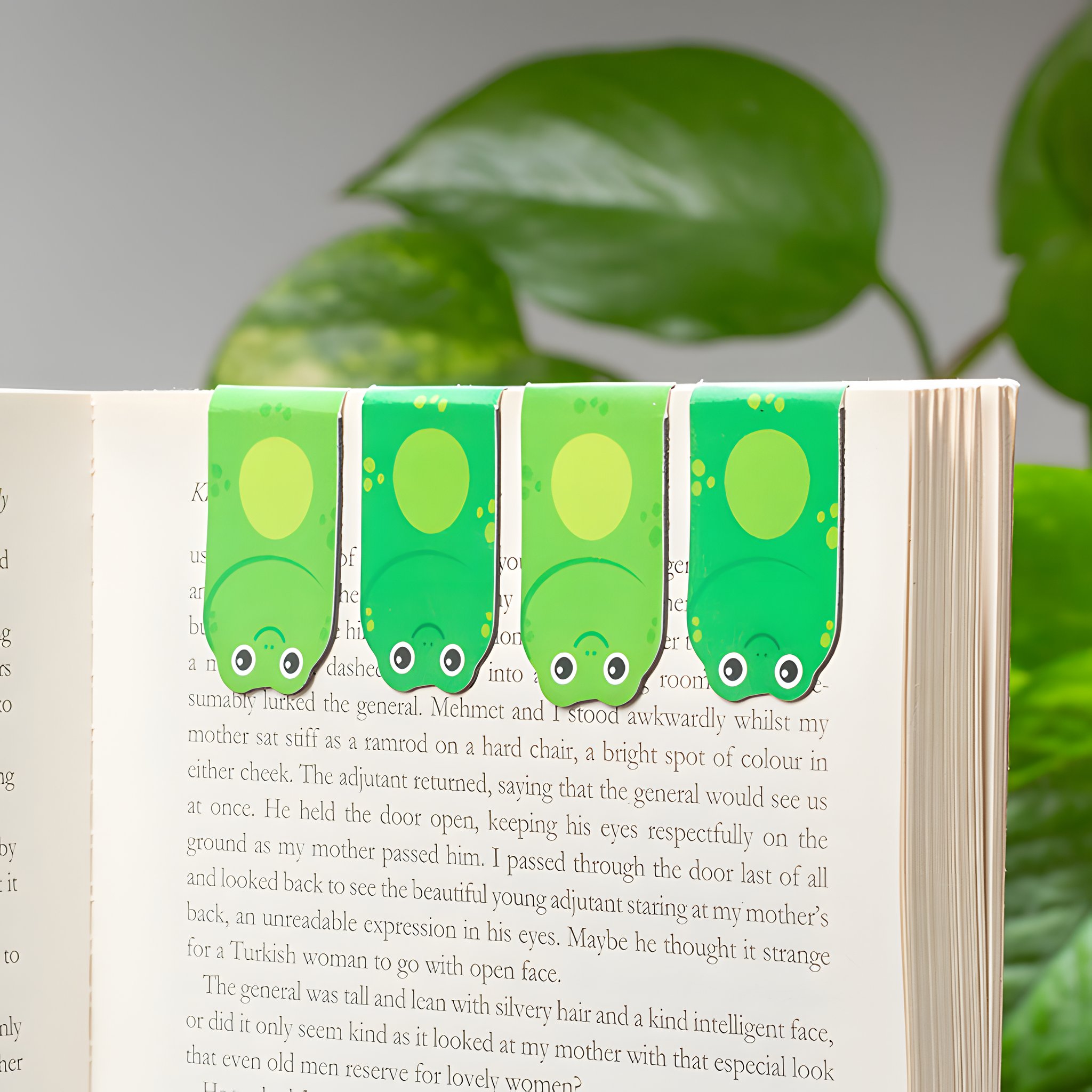 Magnetische Frosch-Lesezeichen am oberen Rand eines Buches
