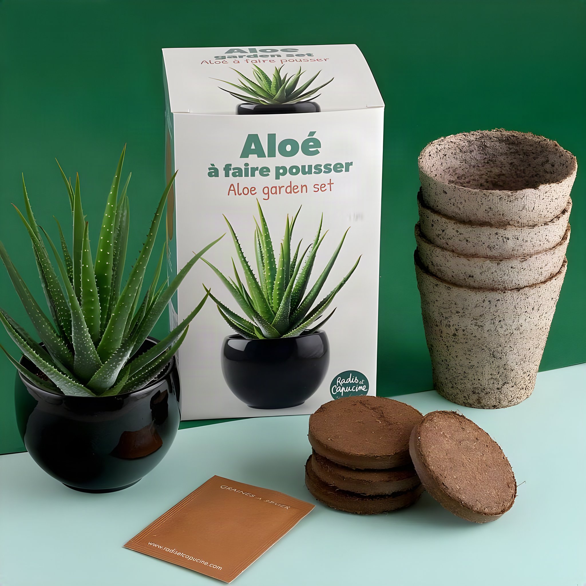 Aloe vera Planting Kit