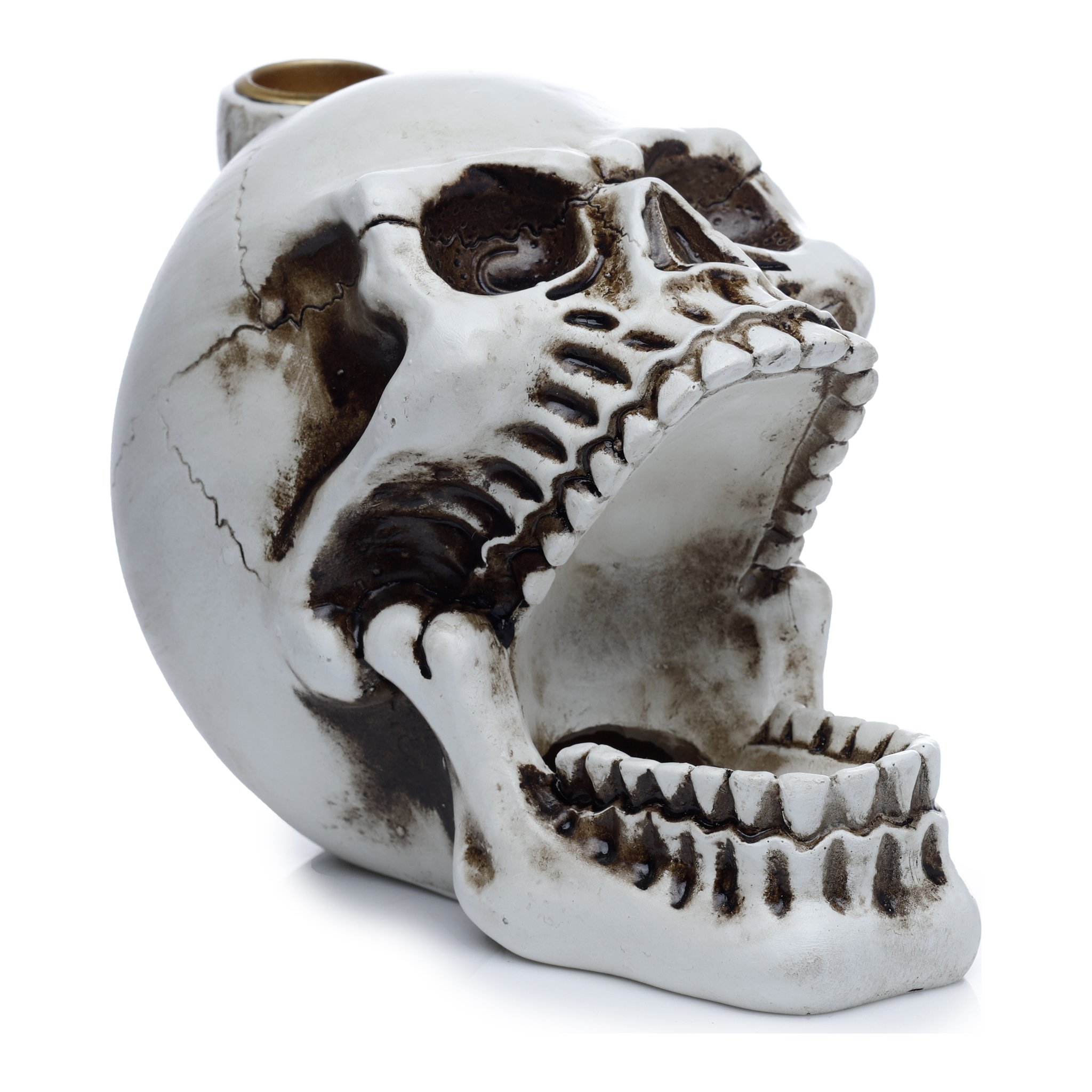 Skull incense holder cut out, three-quarter view