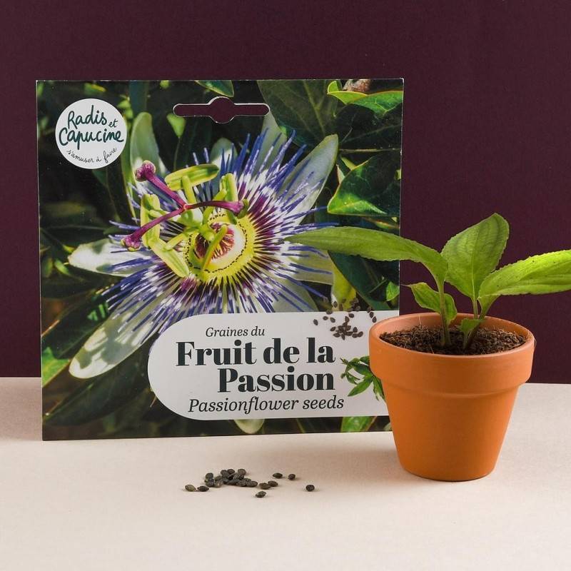 Semi di frutto della passione