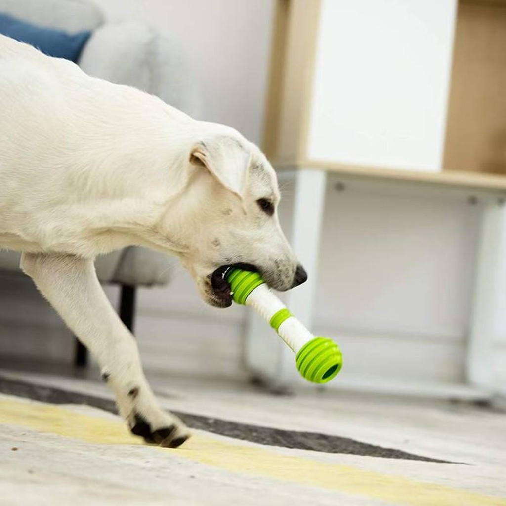 PetGeek Automatic Dog Bone