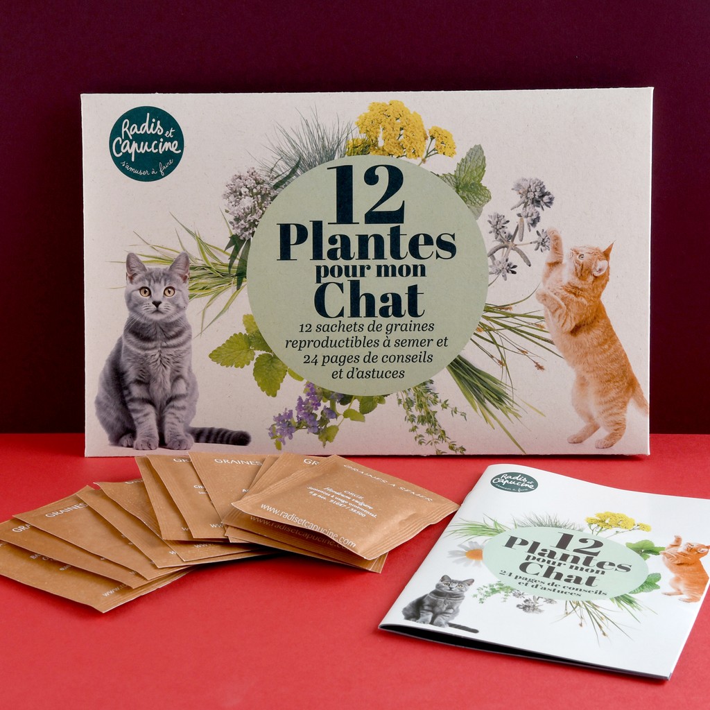 12 Pflanzen für meine Katze – Samen-Set
